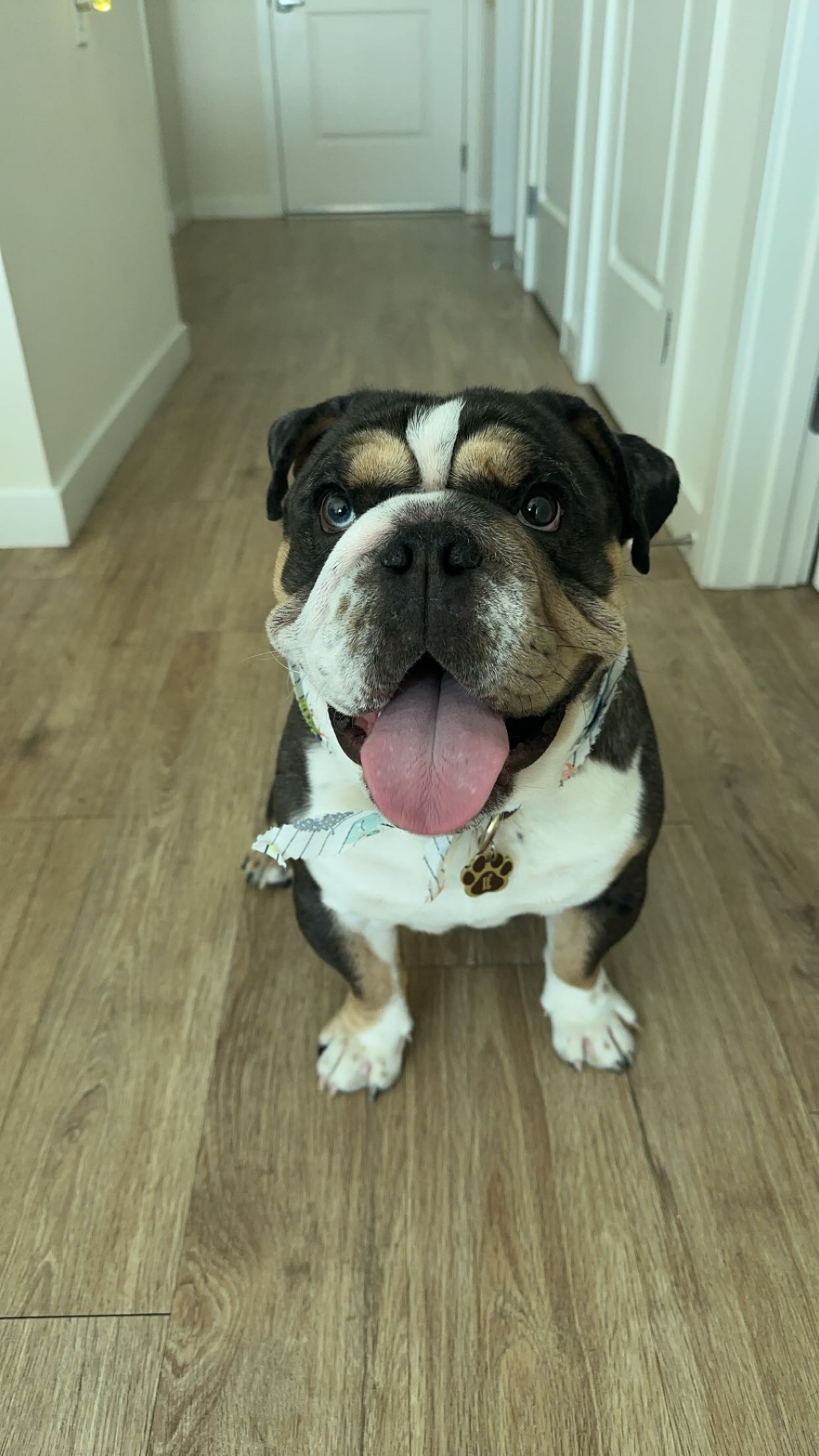 User-uploaded image 3