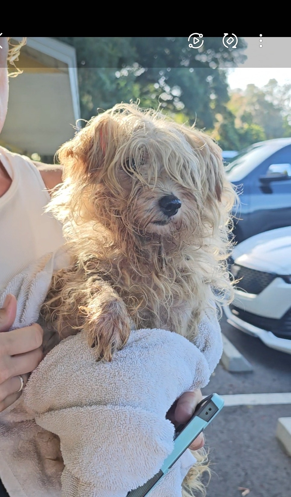 Urgent Aid for 21 Dogs at DogWalker Ranch campaign photo, 5 of 6