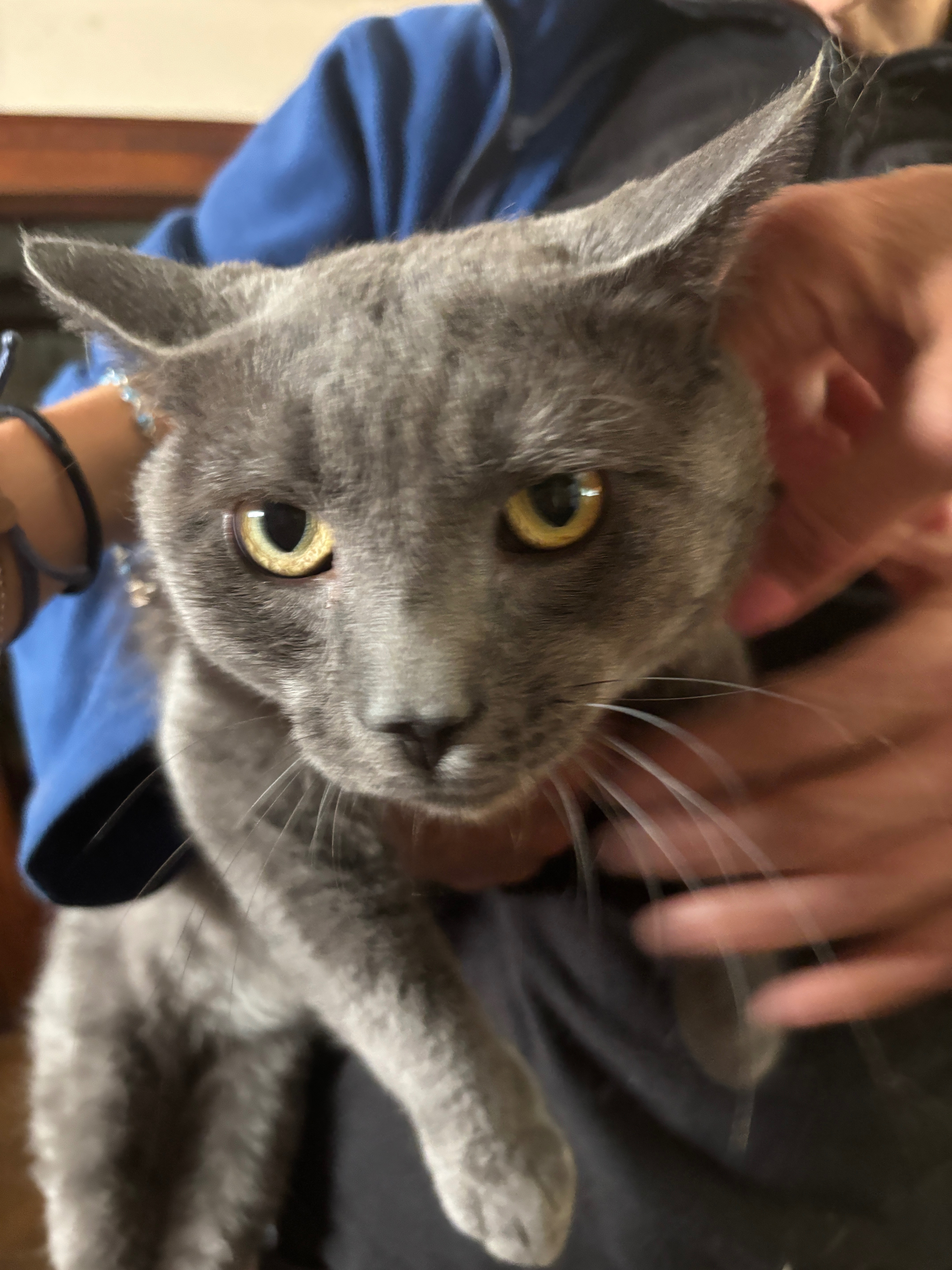 User-uploaded image 1