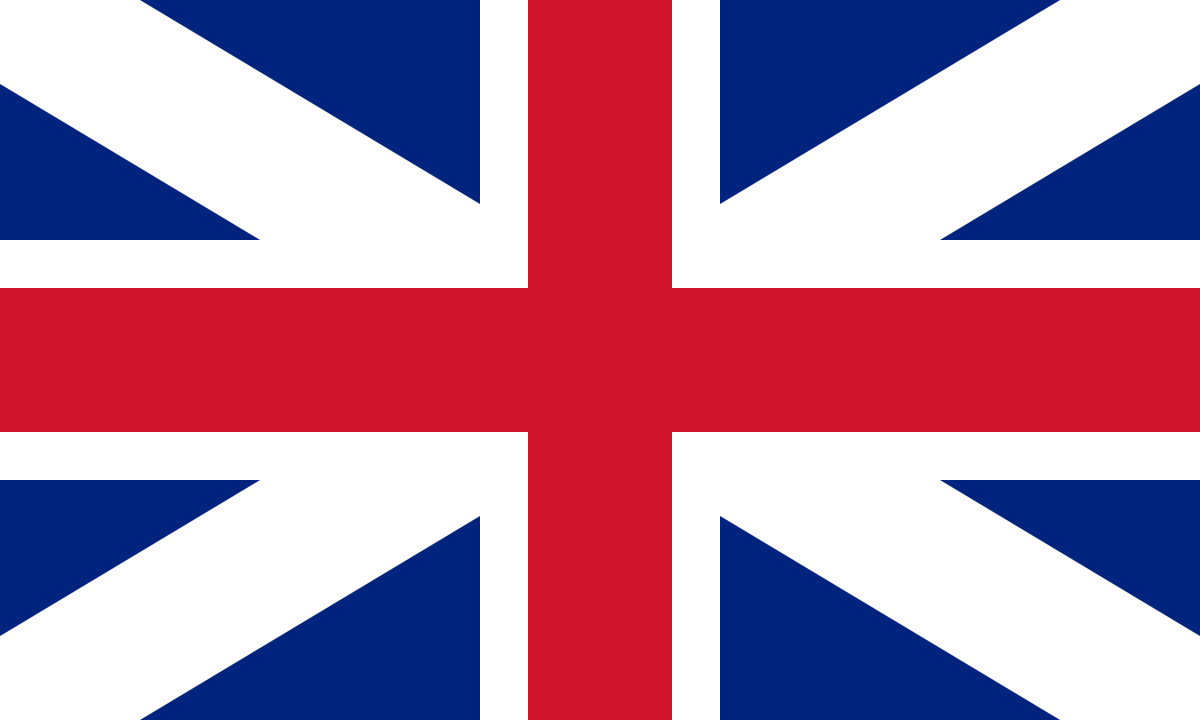Foto della campagna Let’s flood town with flags, 2 di 6