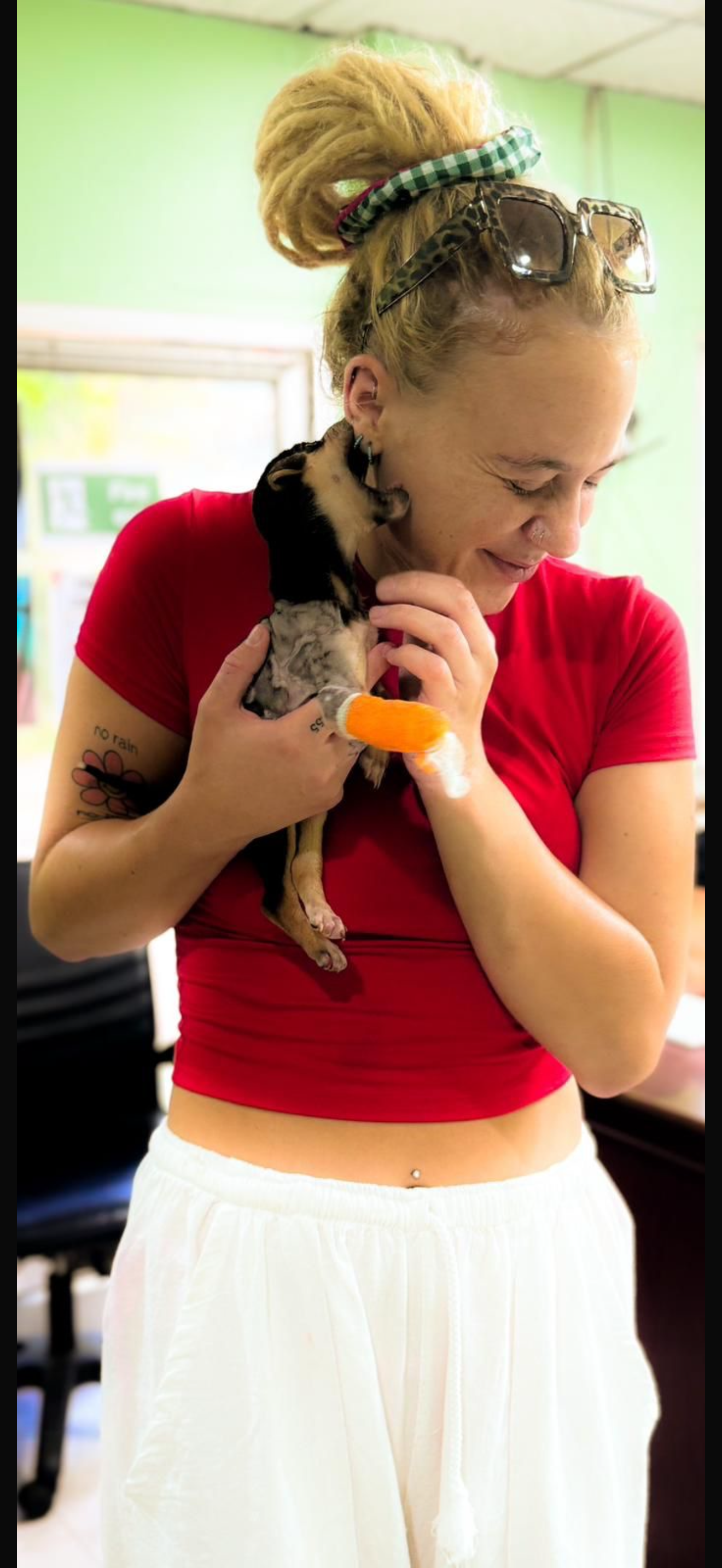 Help Me Support the stray dogs in Sri Lanka campaign photo, 6 of 8