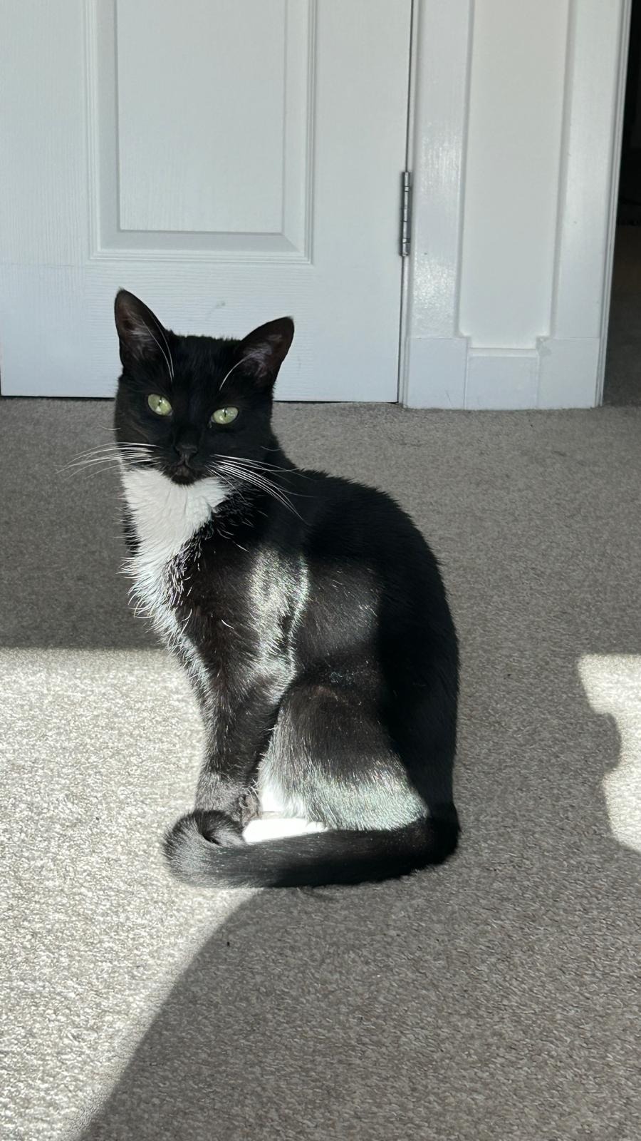 User-uploaded image 2