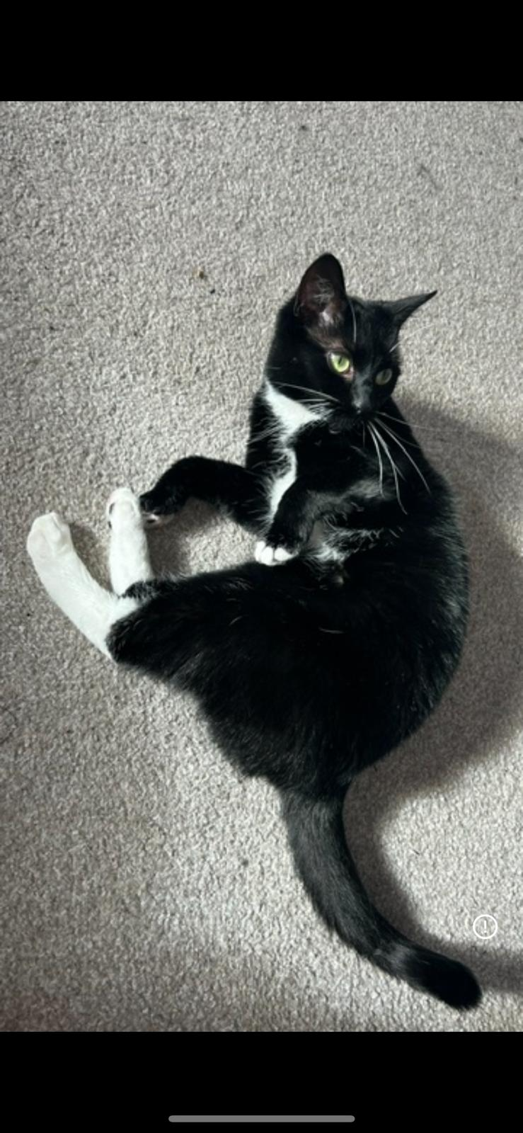 User-uploaded image 4