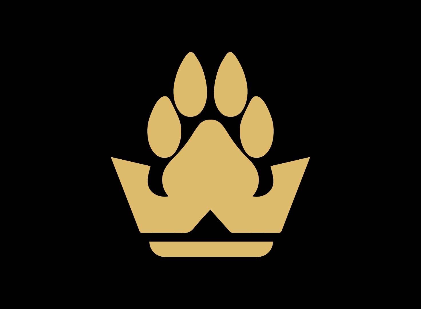 User-uploaded image 1