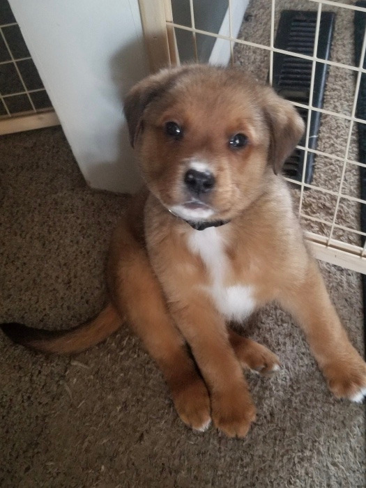 User-uploaded image 1