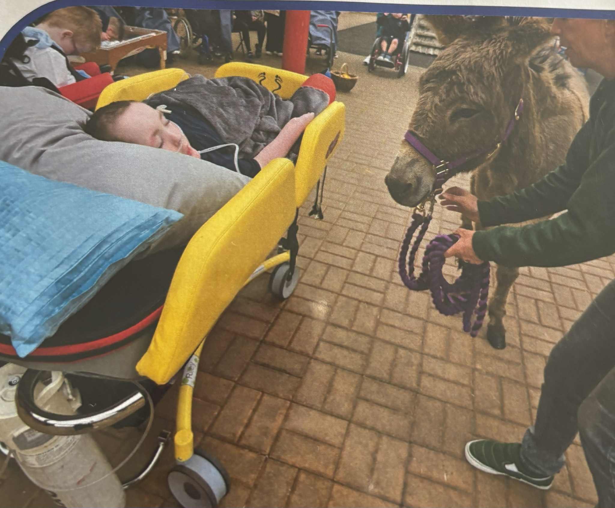 Help Riley get an acheeva bed to improve his quality of life campaign photo, 5 of 7