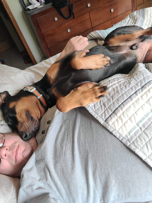 Dog Lovers.  Primo has treatable Cancer.  Please Help! campaign photo, 4 of 8