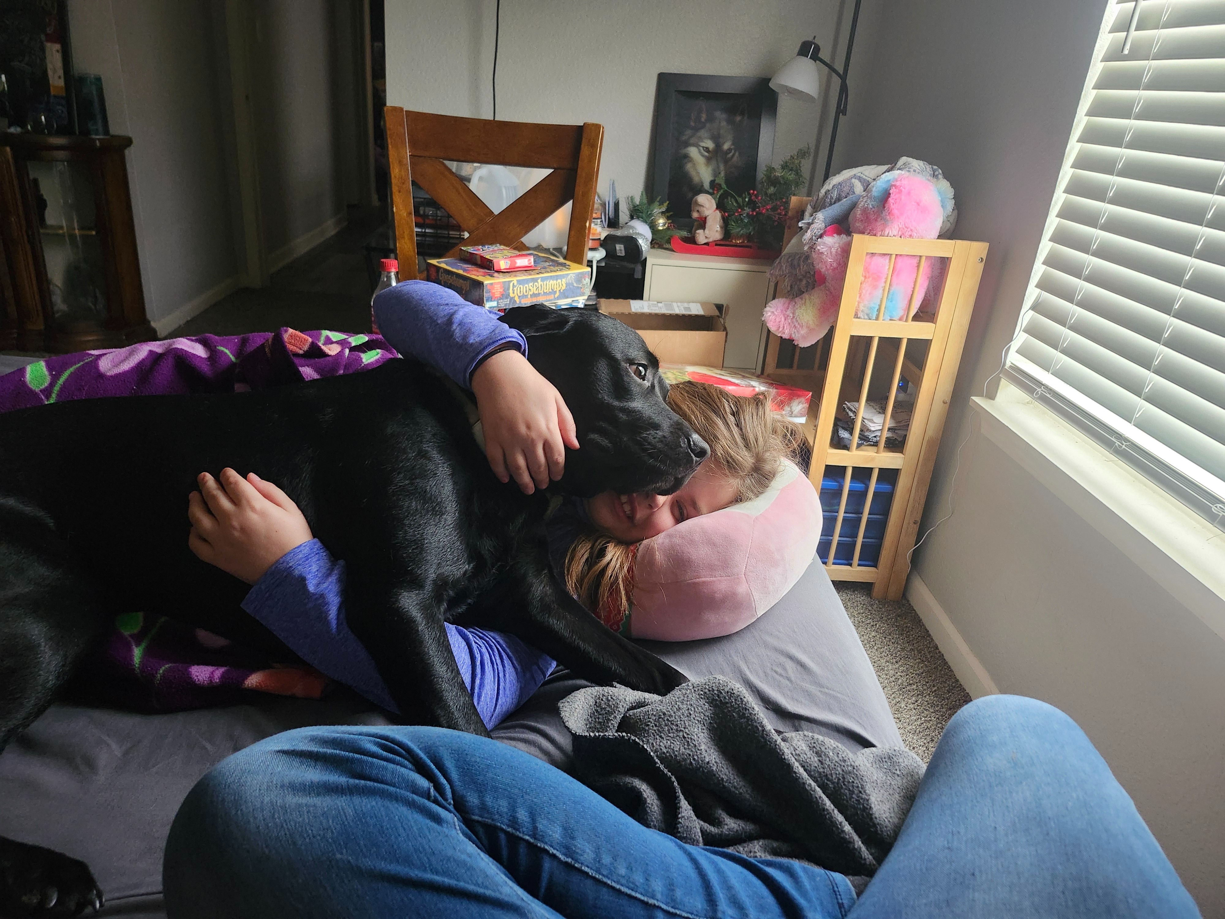 Support Kyla's Journey with Benny's Training campaign photo, 2 of 6