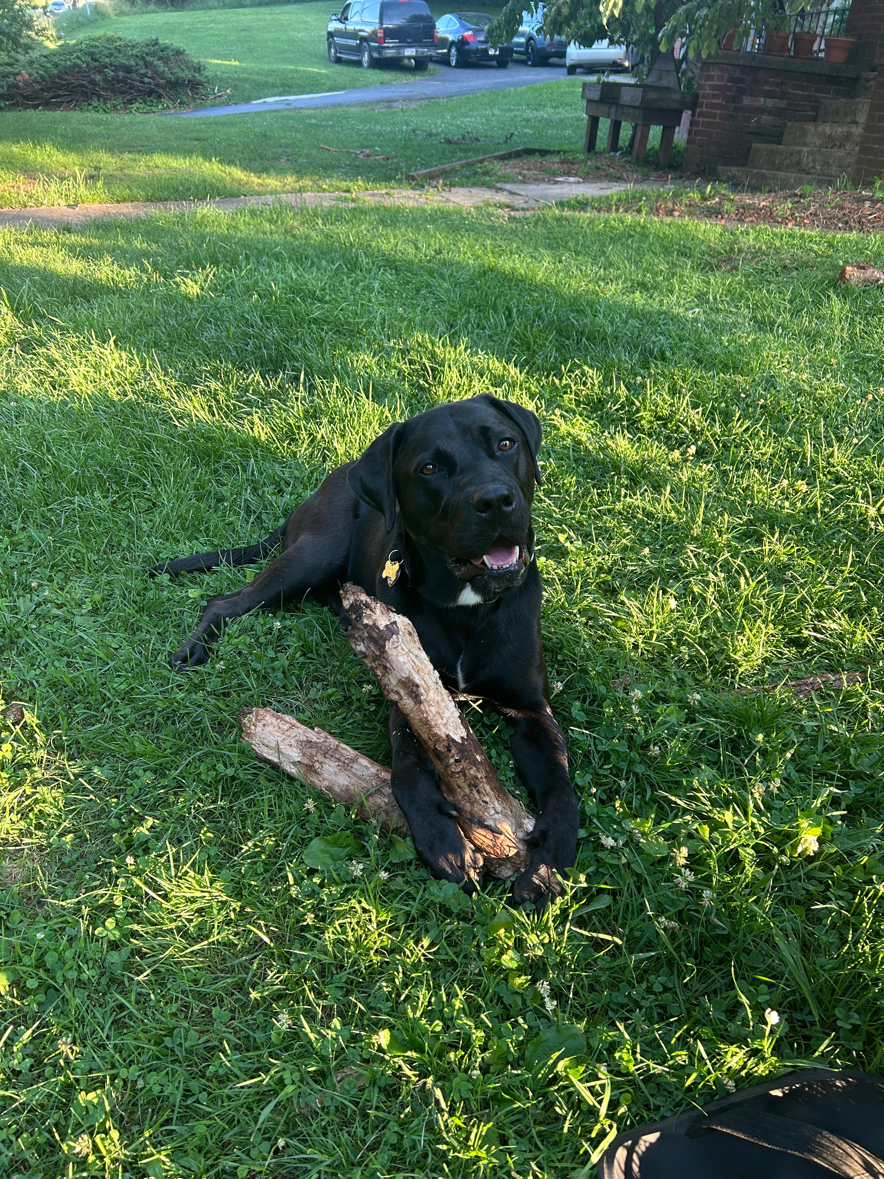 Scout Needs Your Help After Tragic Accident campaign photo, 4 of 6