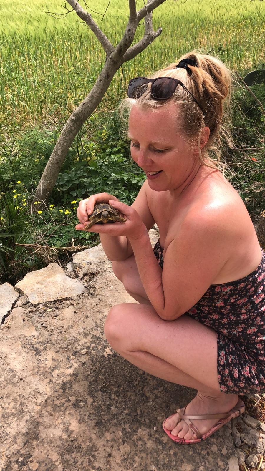 User-uploaded image 1