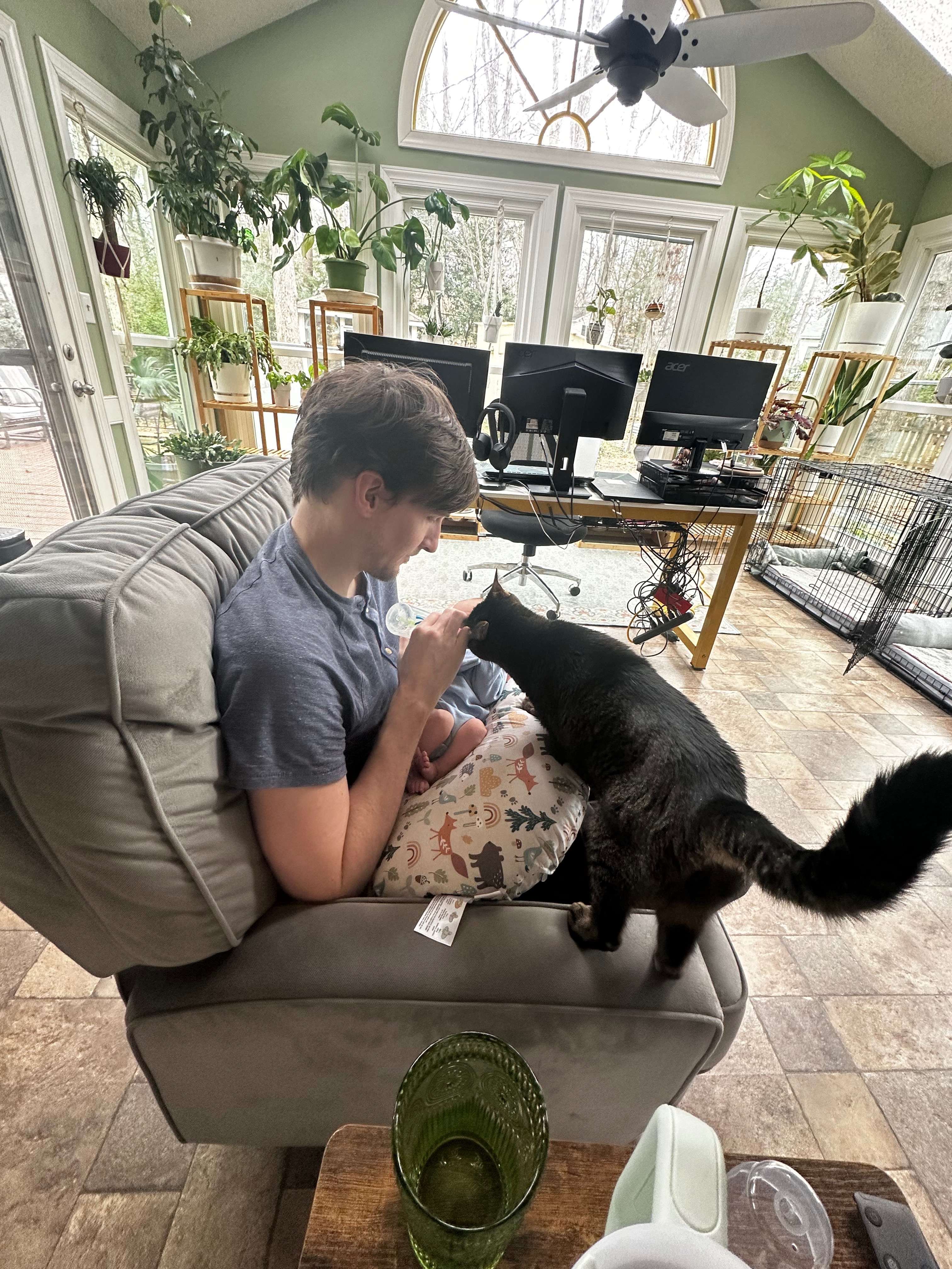 Help Zeus Heal After Amputation campaign photo, 6 of 8