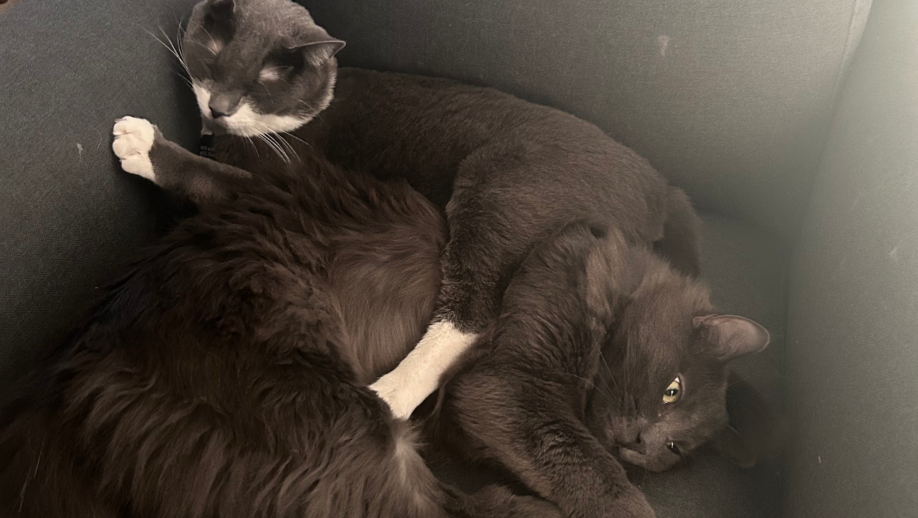 Support Our Home During Tough Times