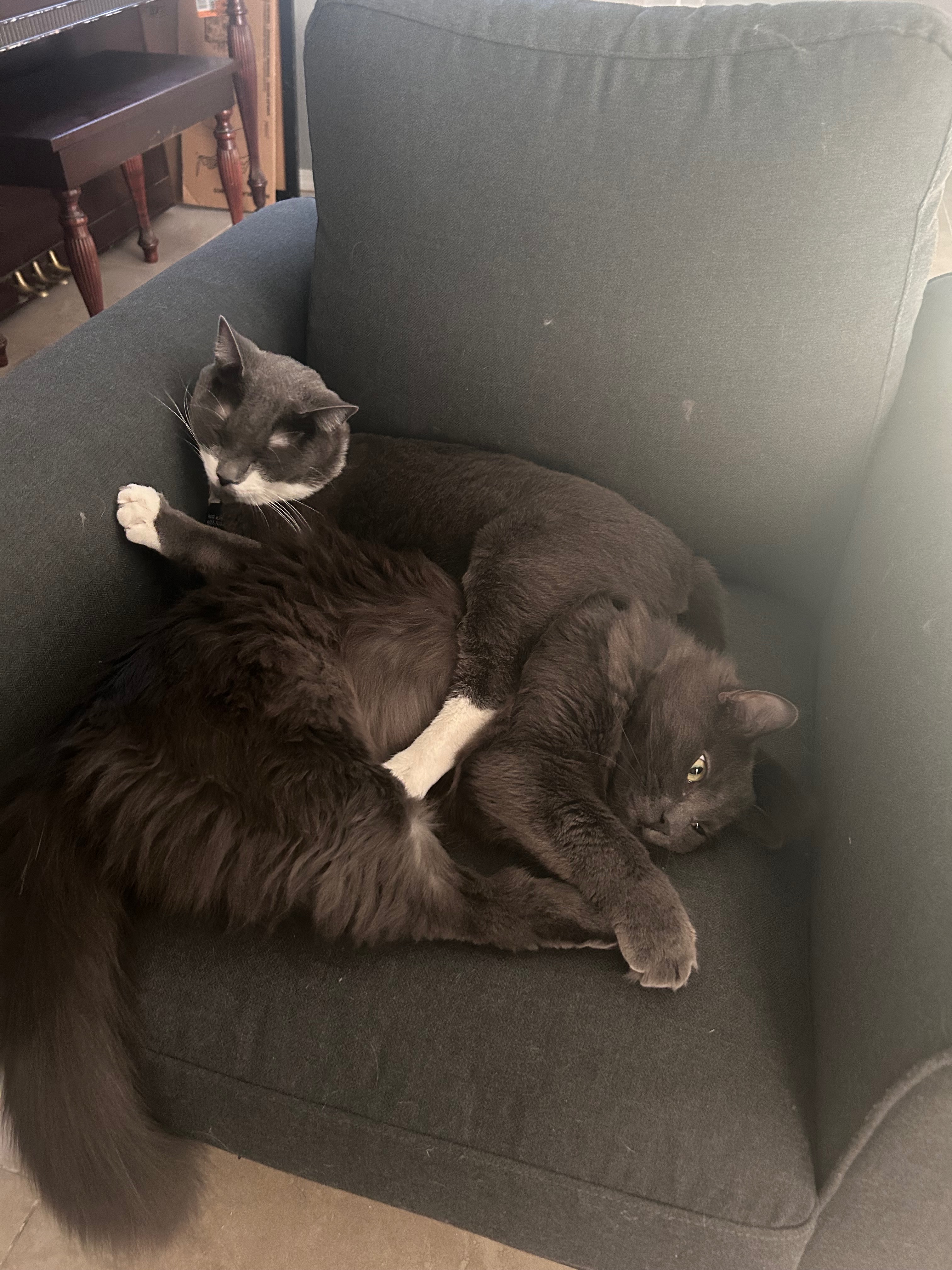 User-uploaded image 1