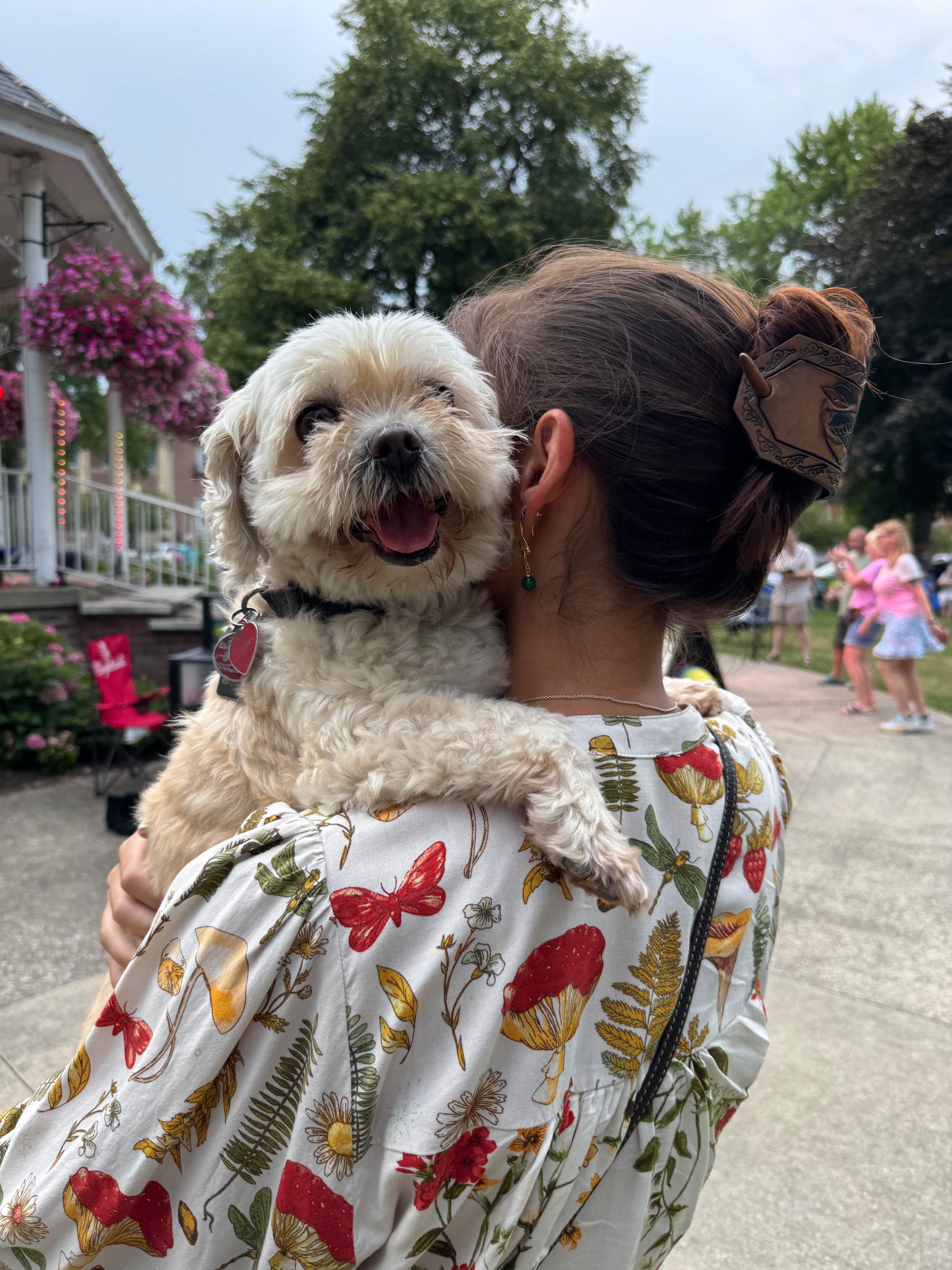 Help Biscuit Get Urgent Vet Care campaign photo, 5 of 8