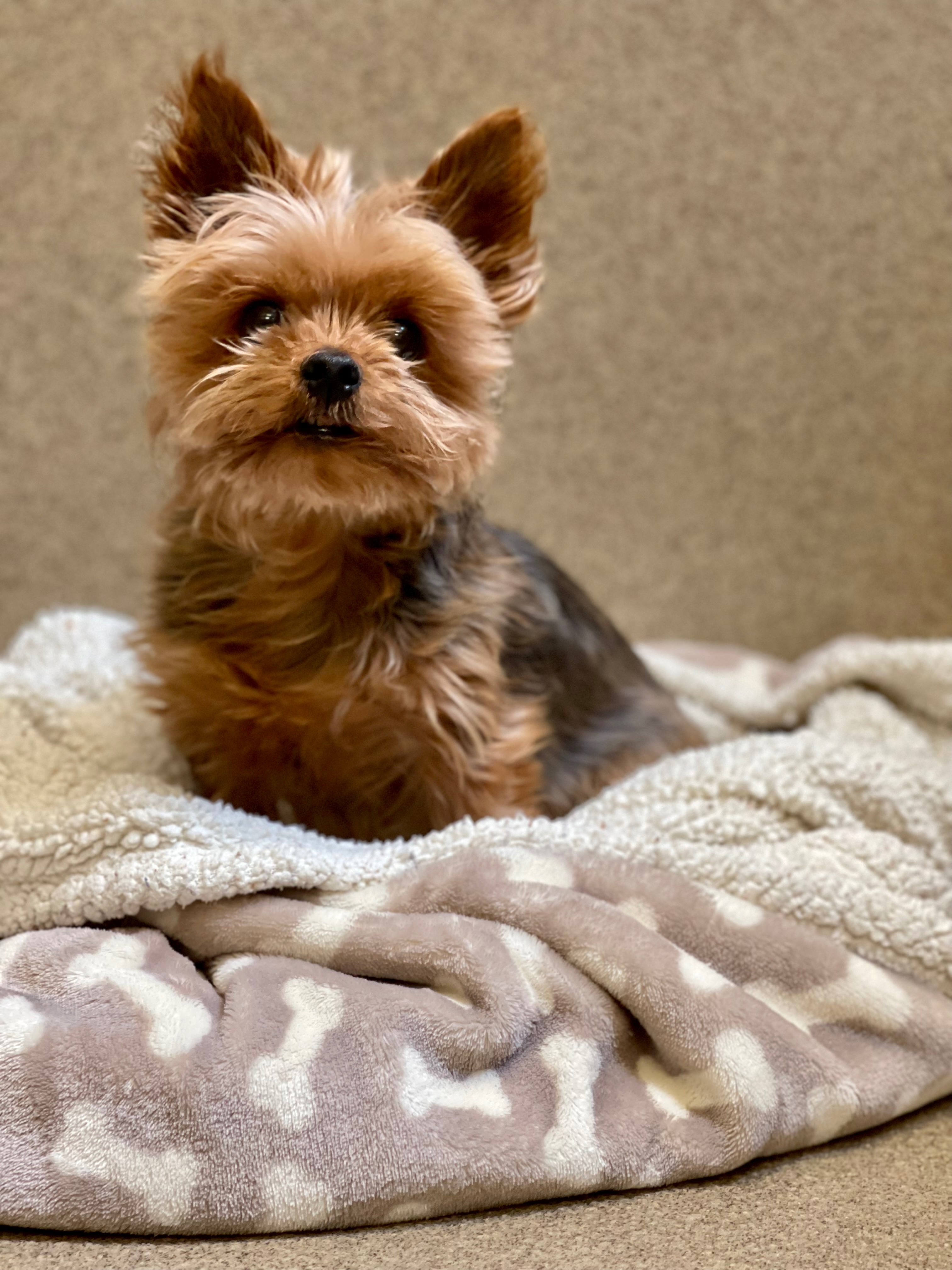 User-uploaded image 1