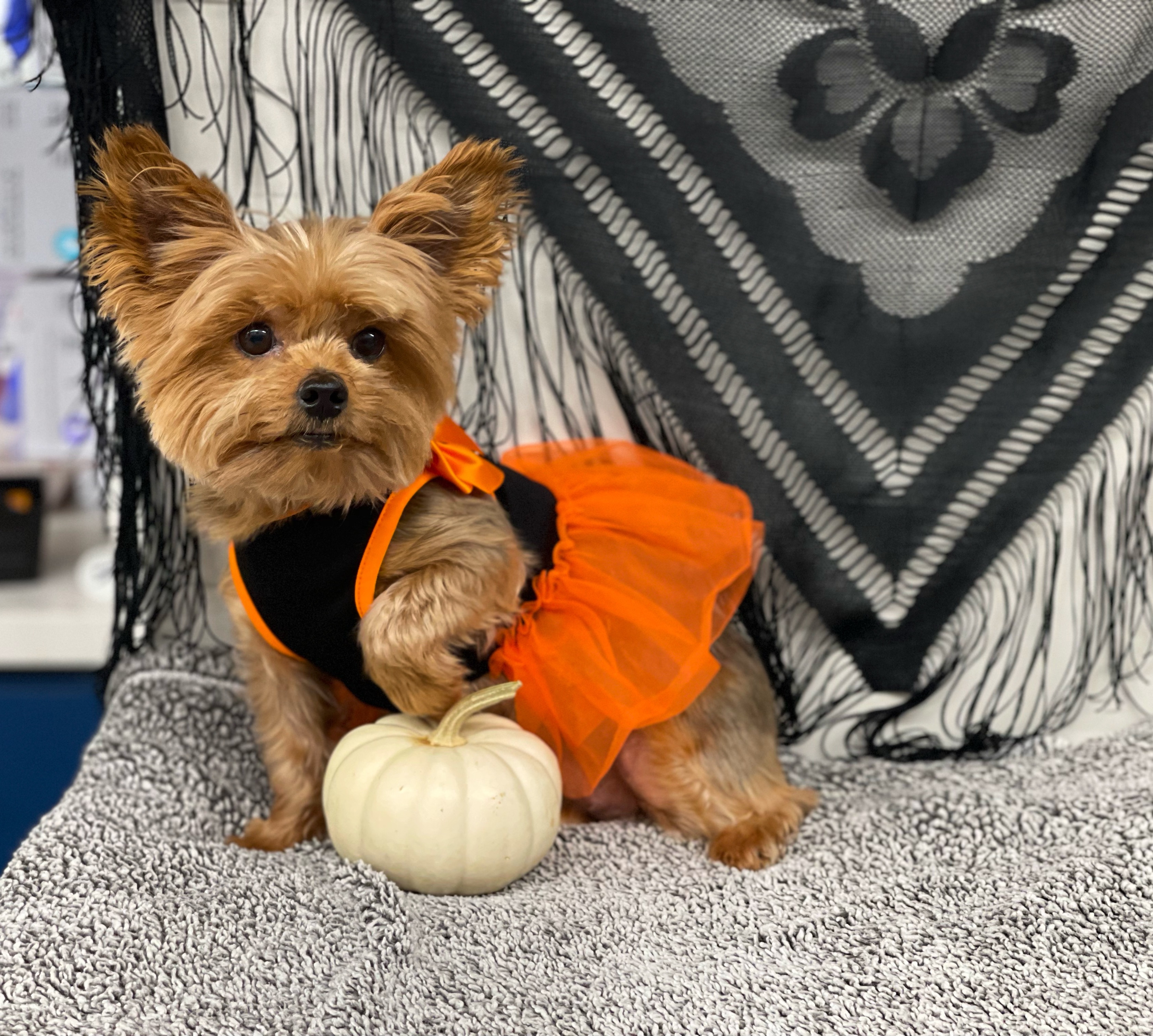 User-uploaded image 3