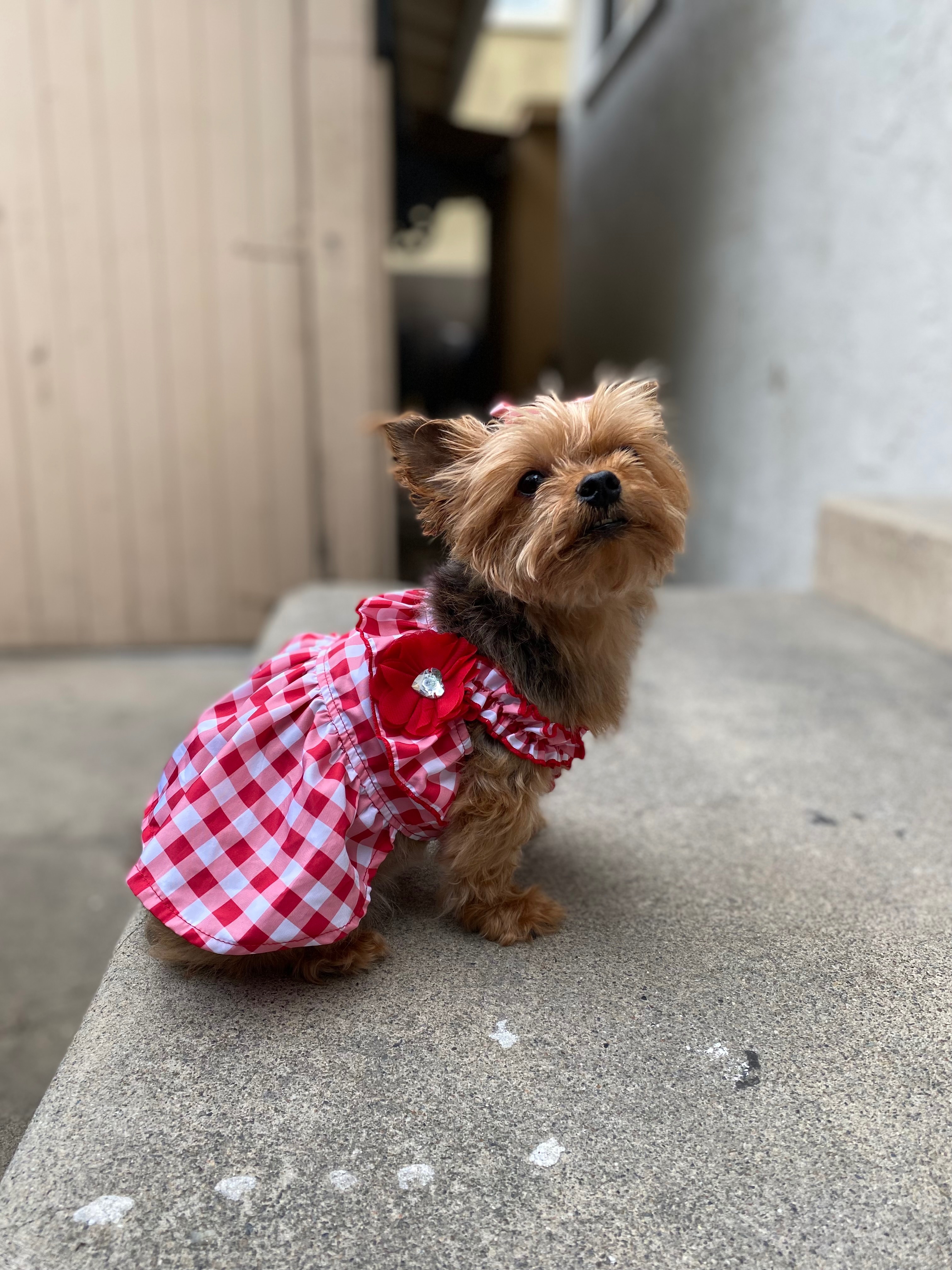 User-uploaded image 4