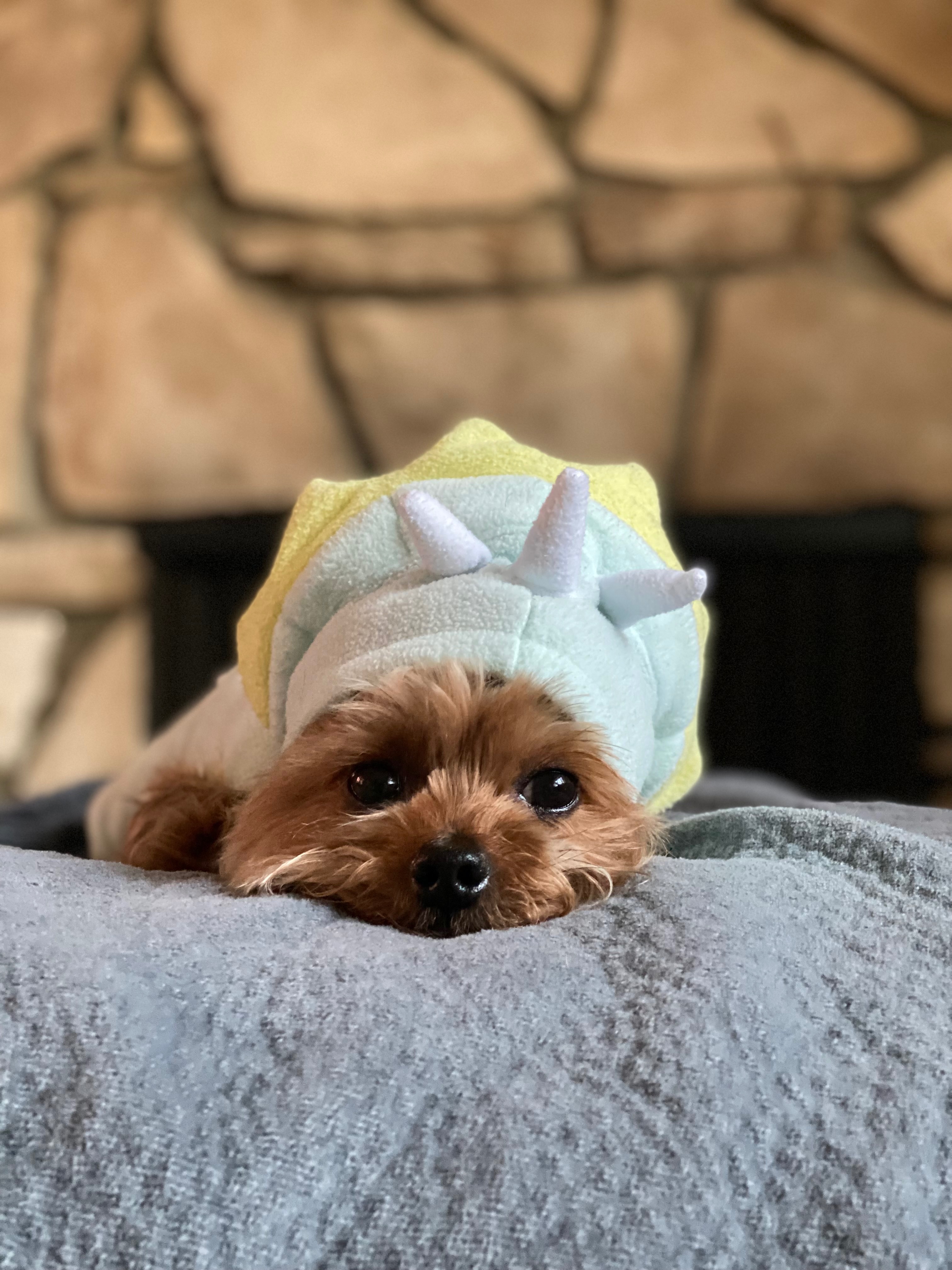 User-uploaded image 2