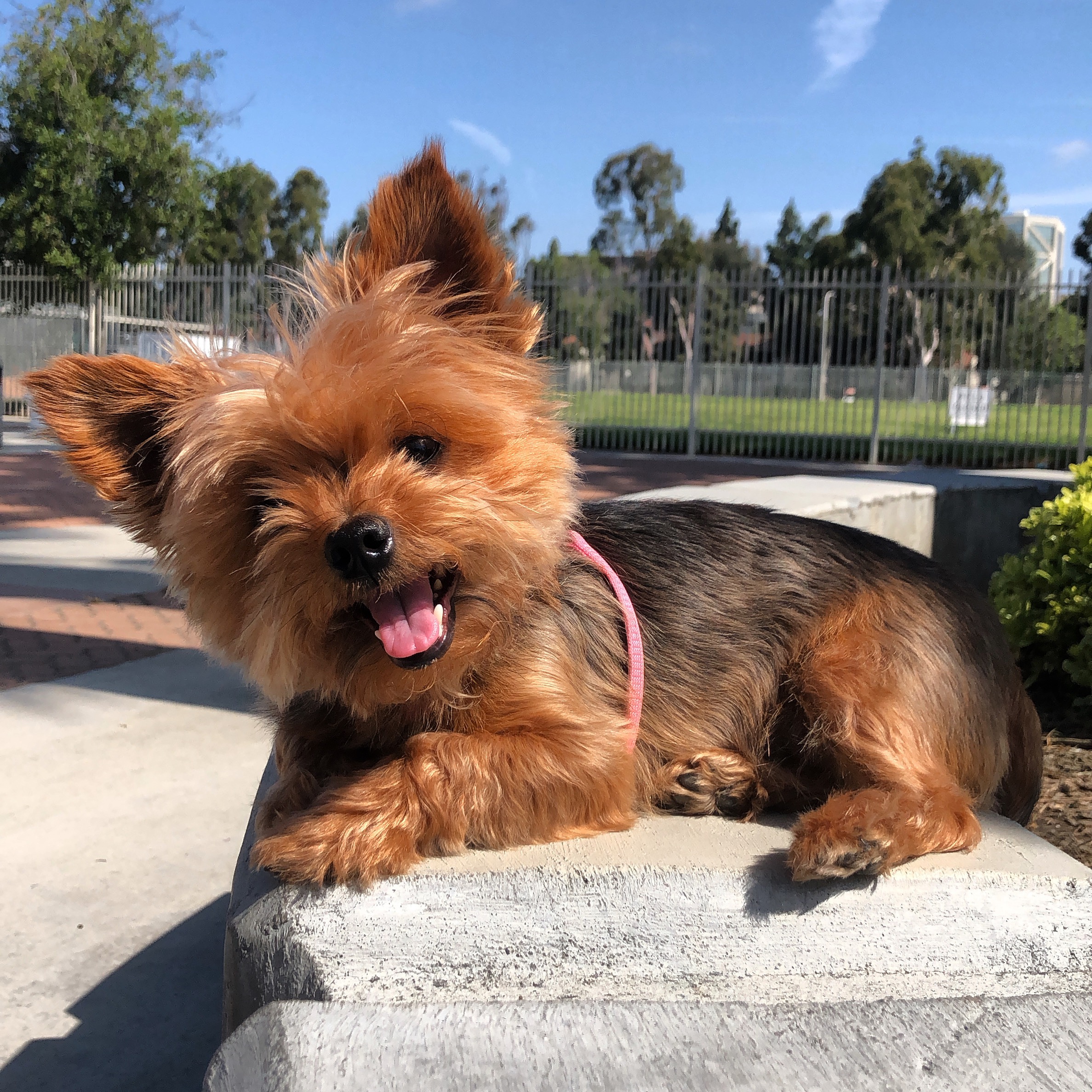 User-uploaded image 5