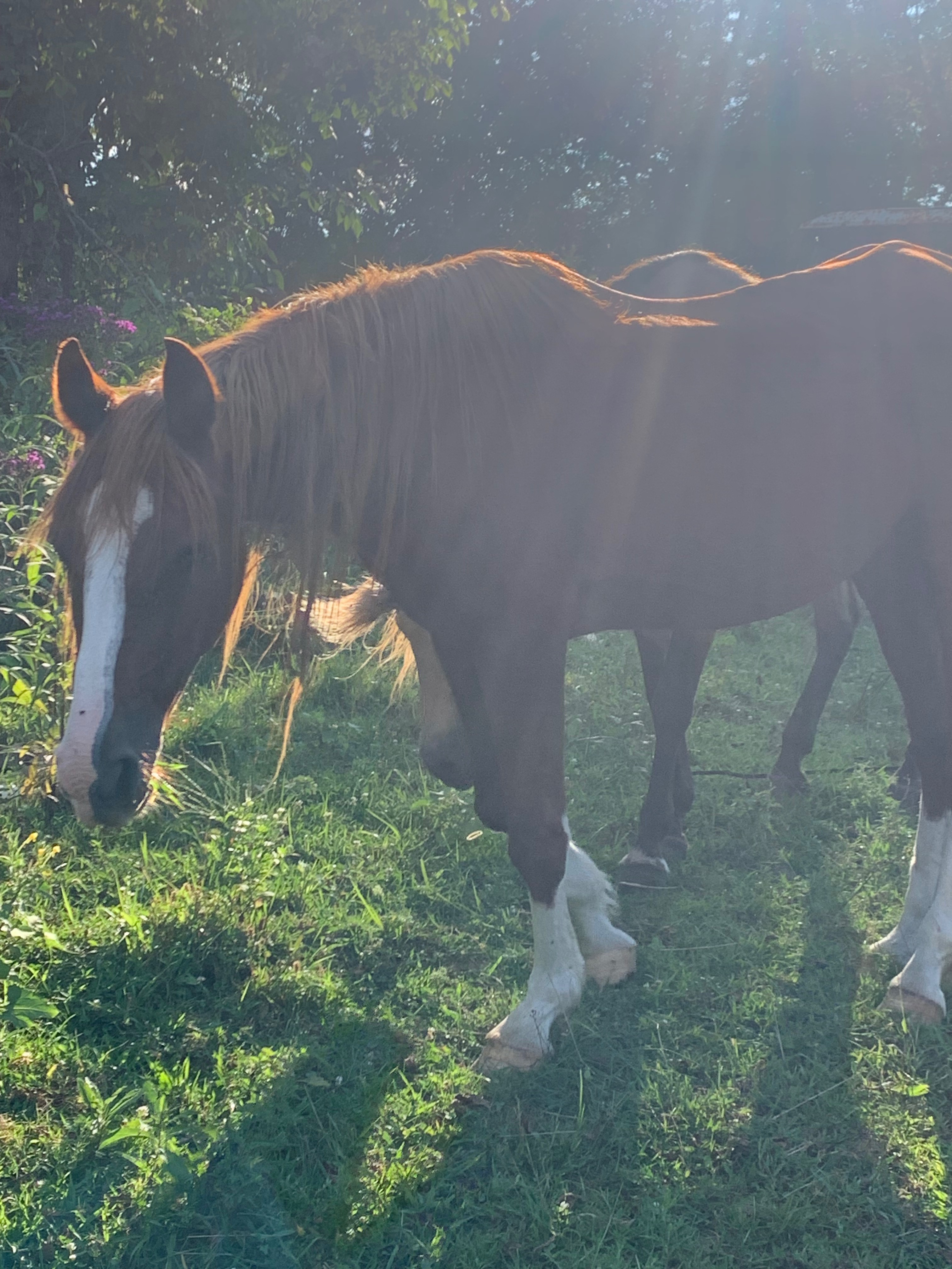 User-uploaded image 1