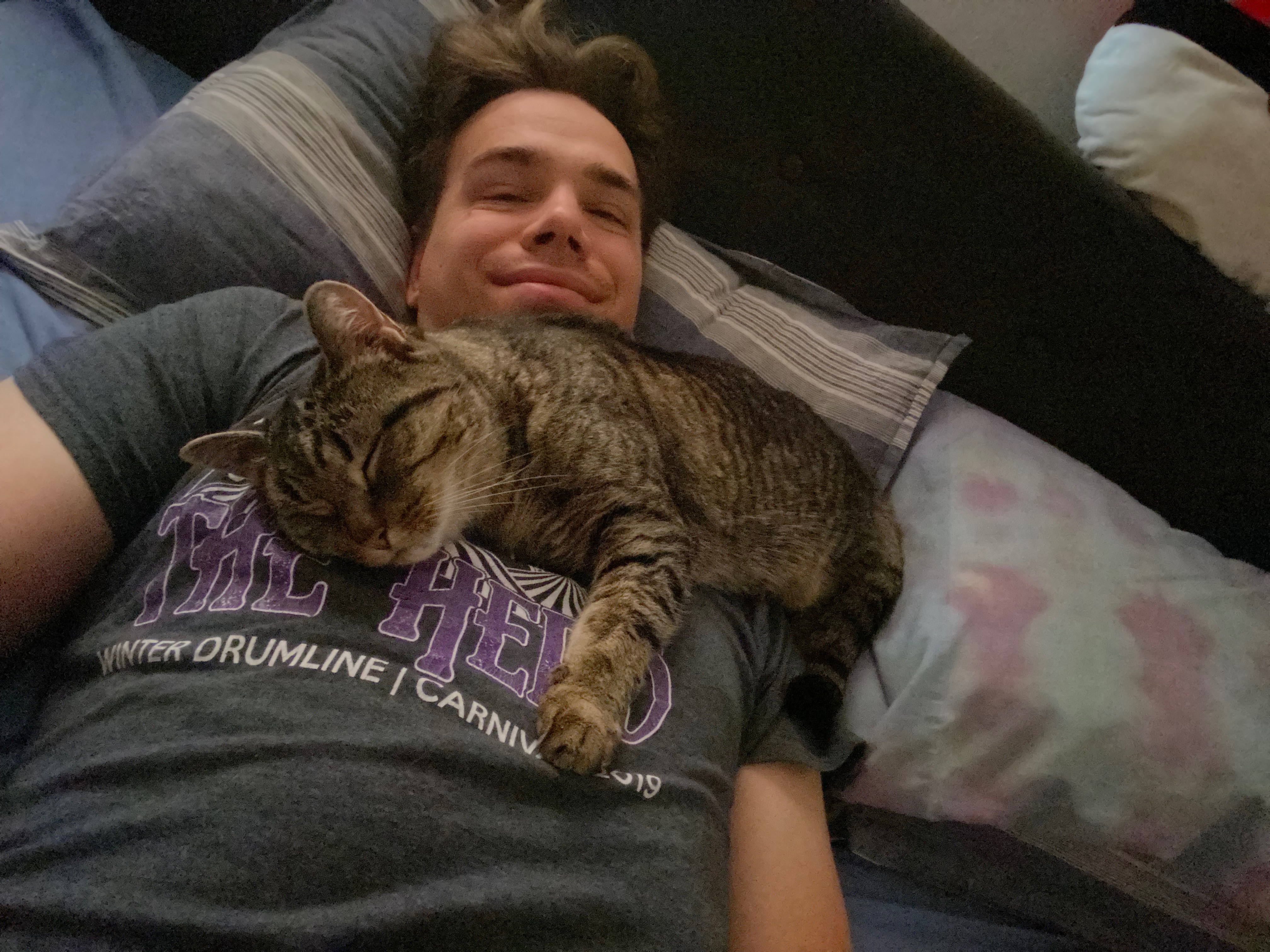 My wonderful cat Midna’s vet bills campaign photo, 4 of 8