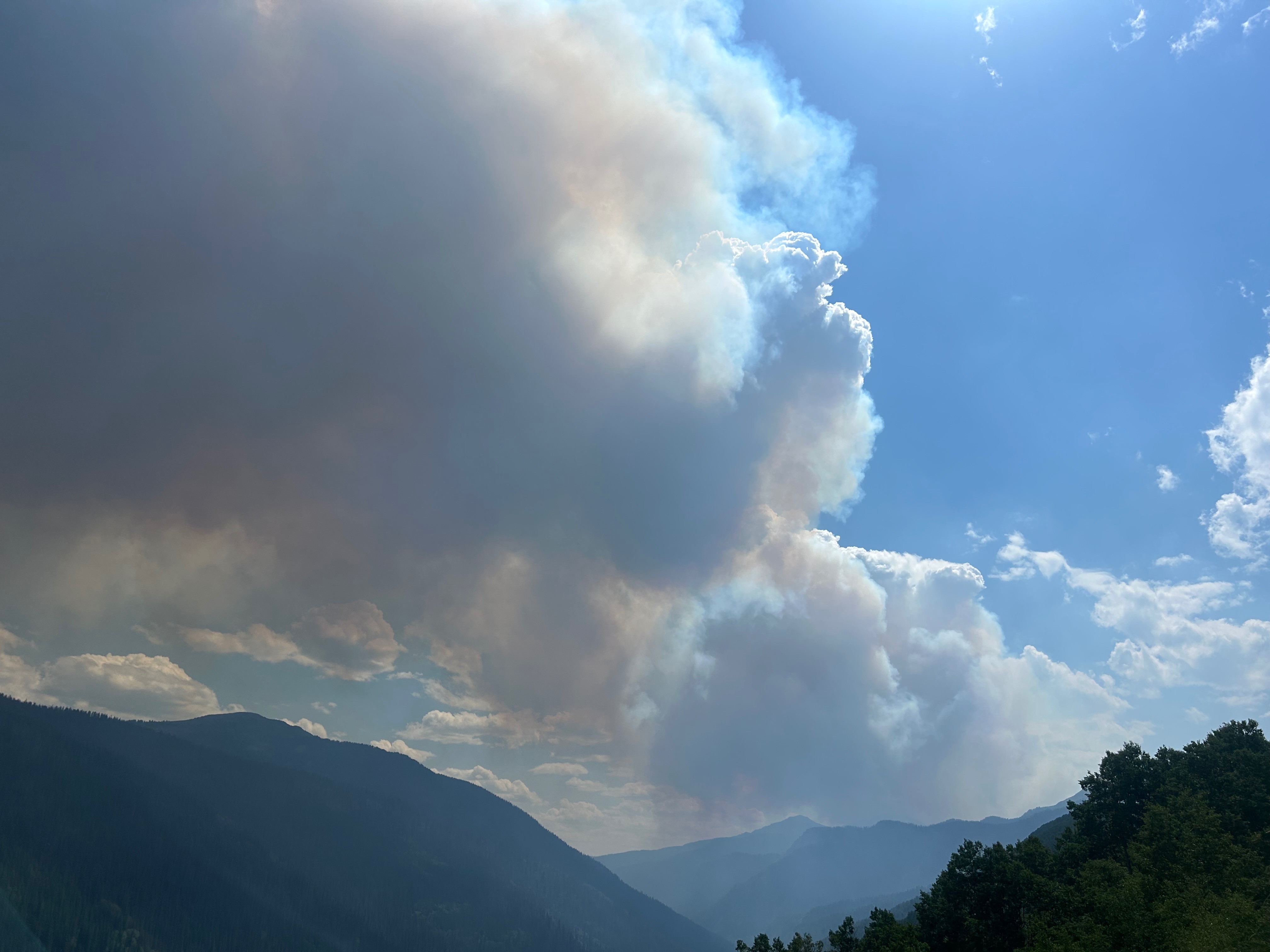 User-uploaded image 1