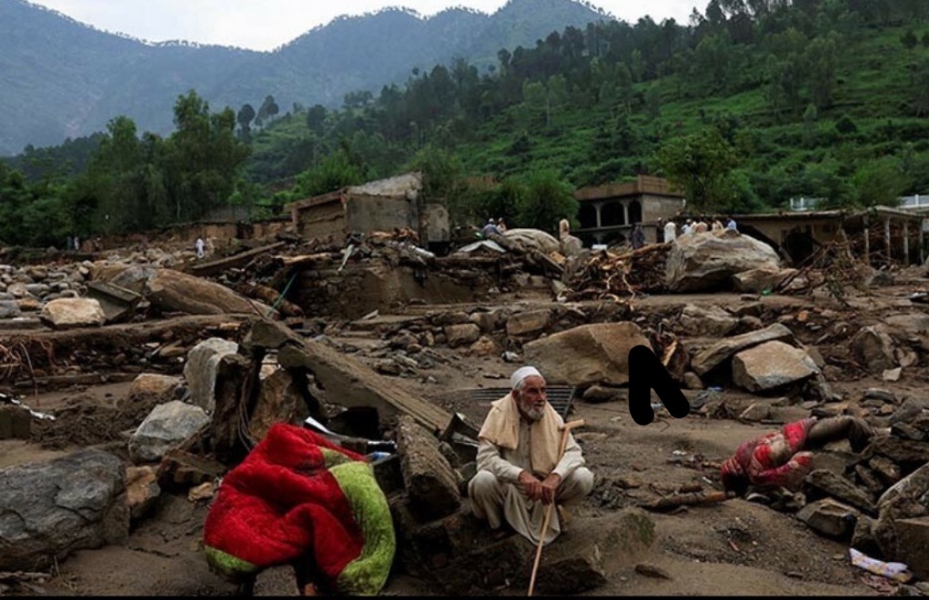 User-uploaded image 1