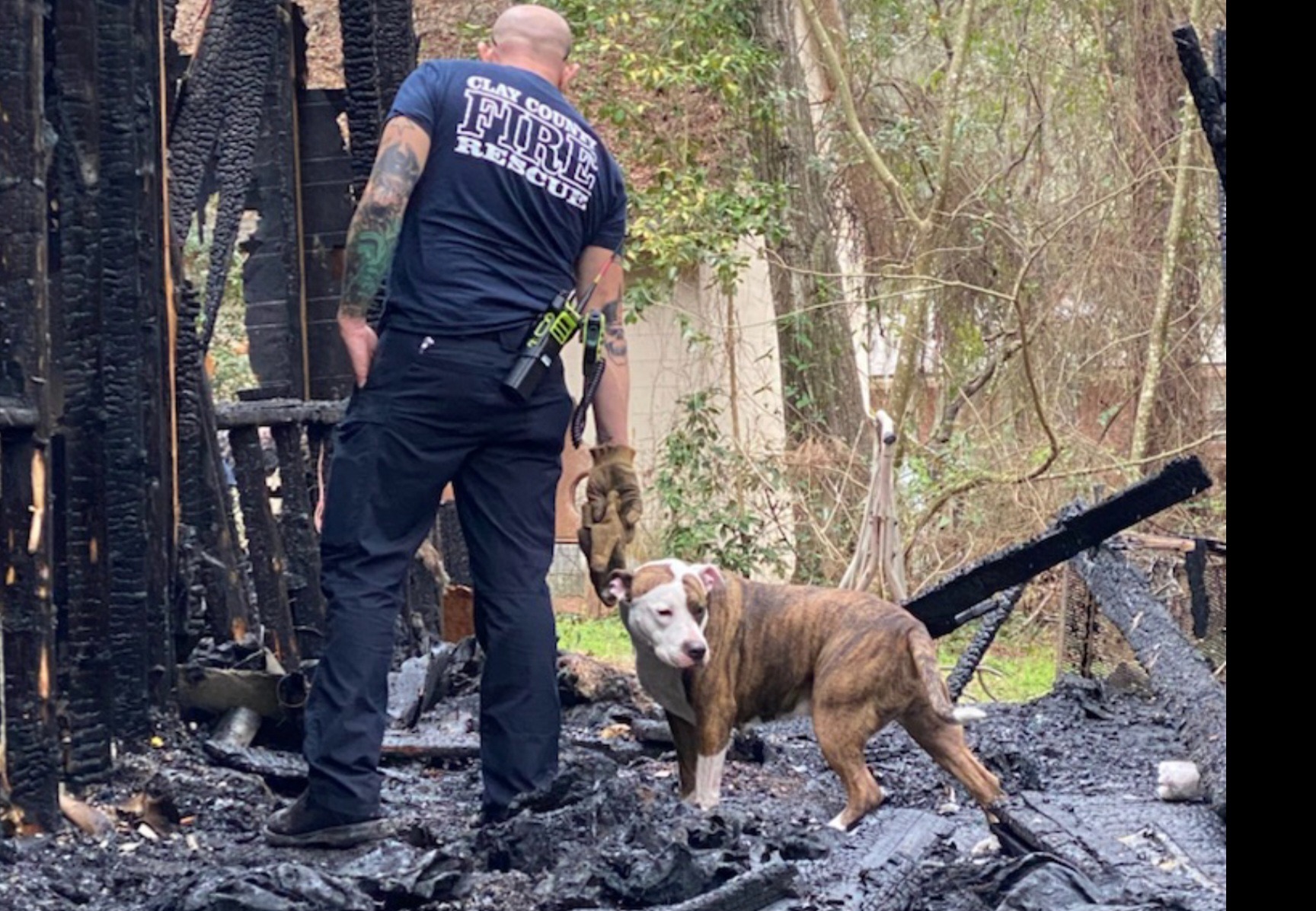 Help Robin Rebuild After House Fire & Recovery campaign photo, 7 of 8