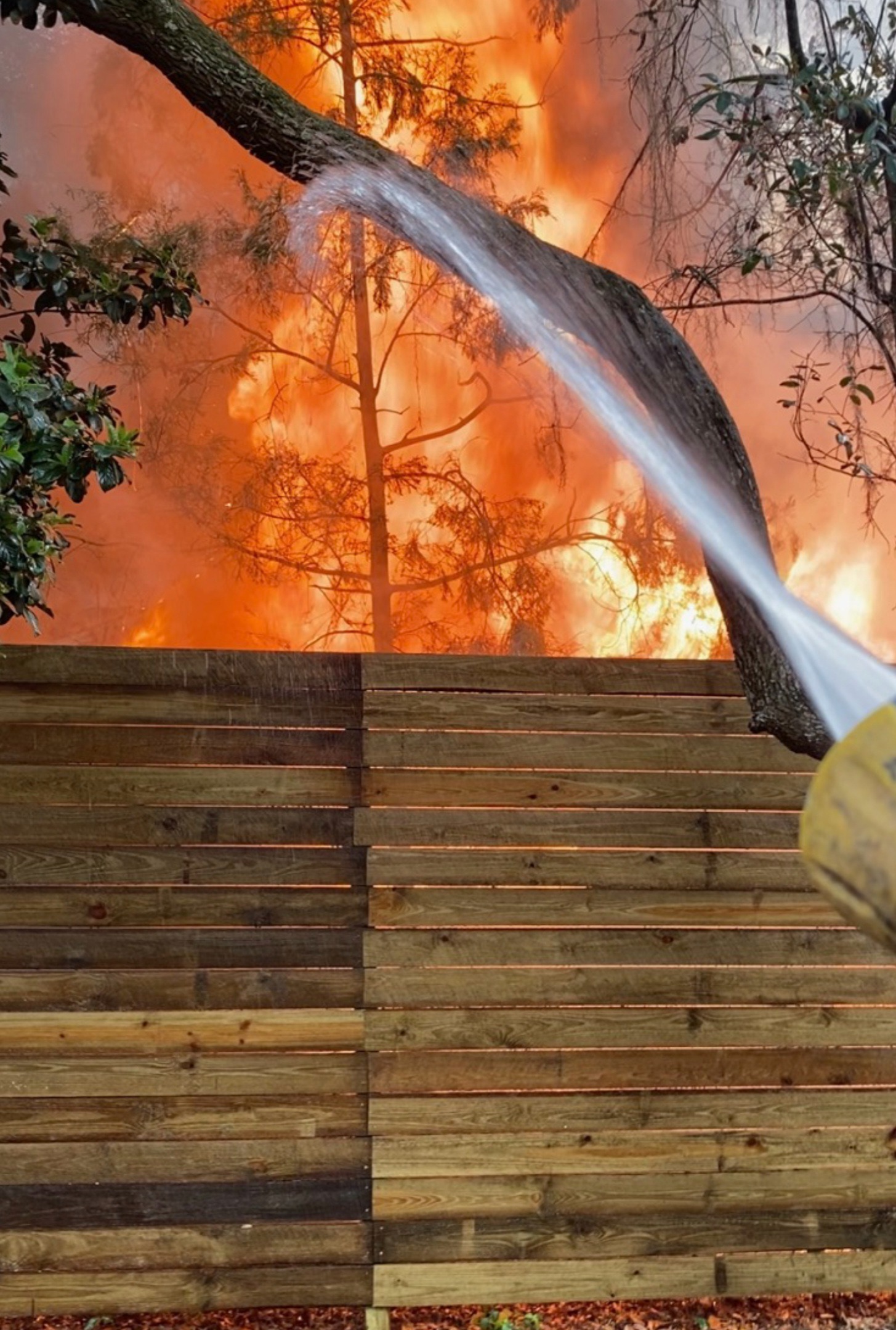 Help Robin Rebuild After House Fire & Recovery campaign photo, 4 of 8