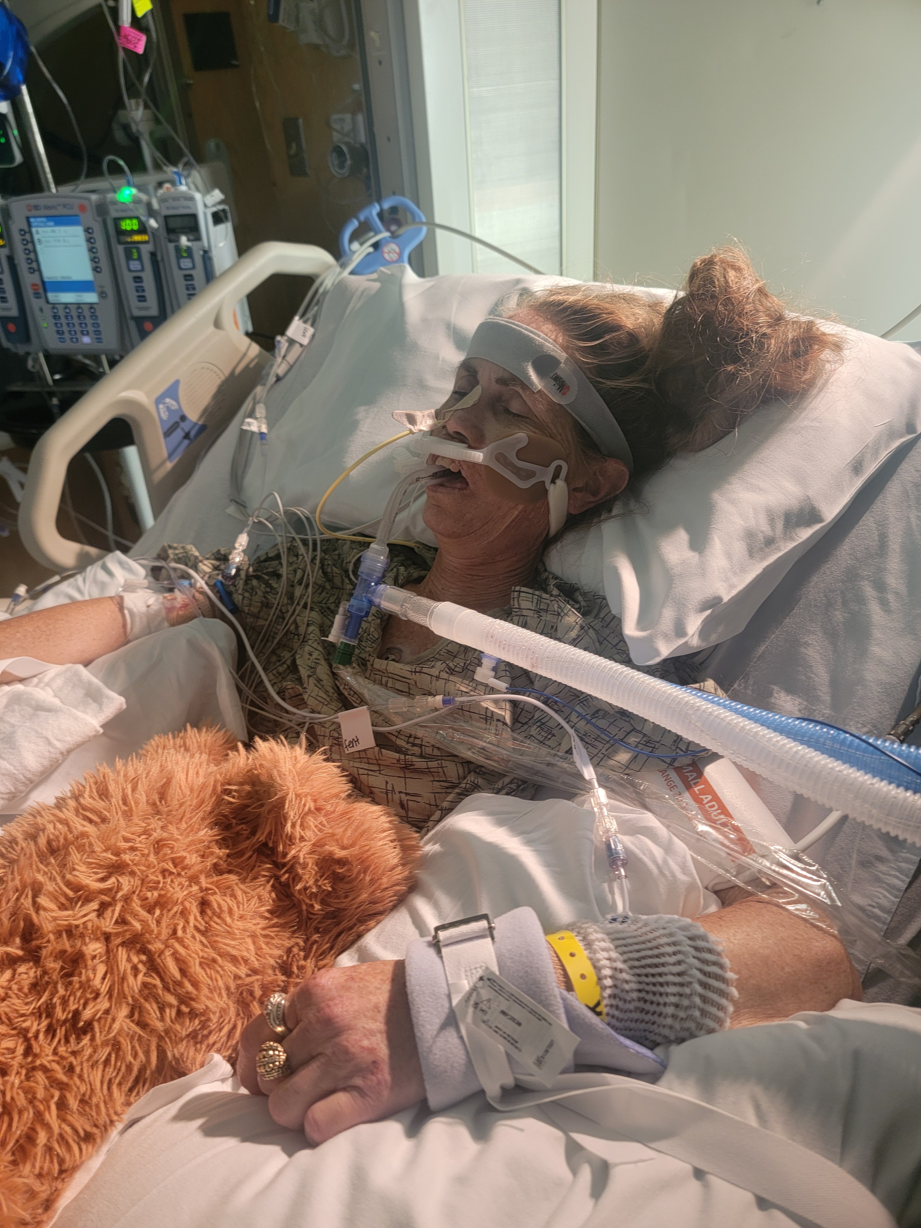Support Lauren Barnes' Recovery Journey campaign photo, 2 of 4