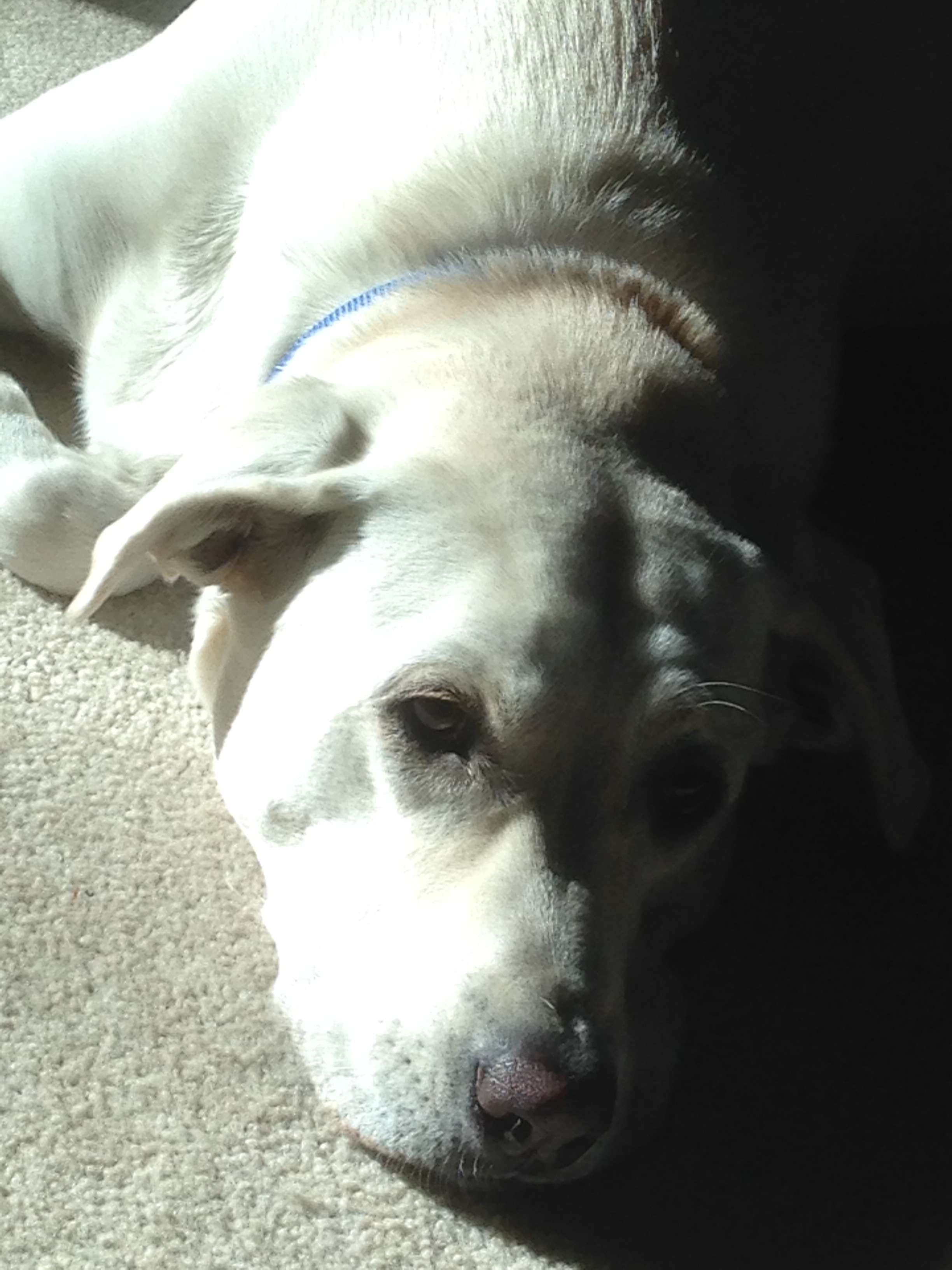 User-uploaded image 1