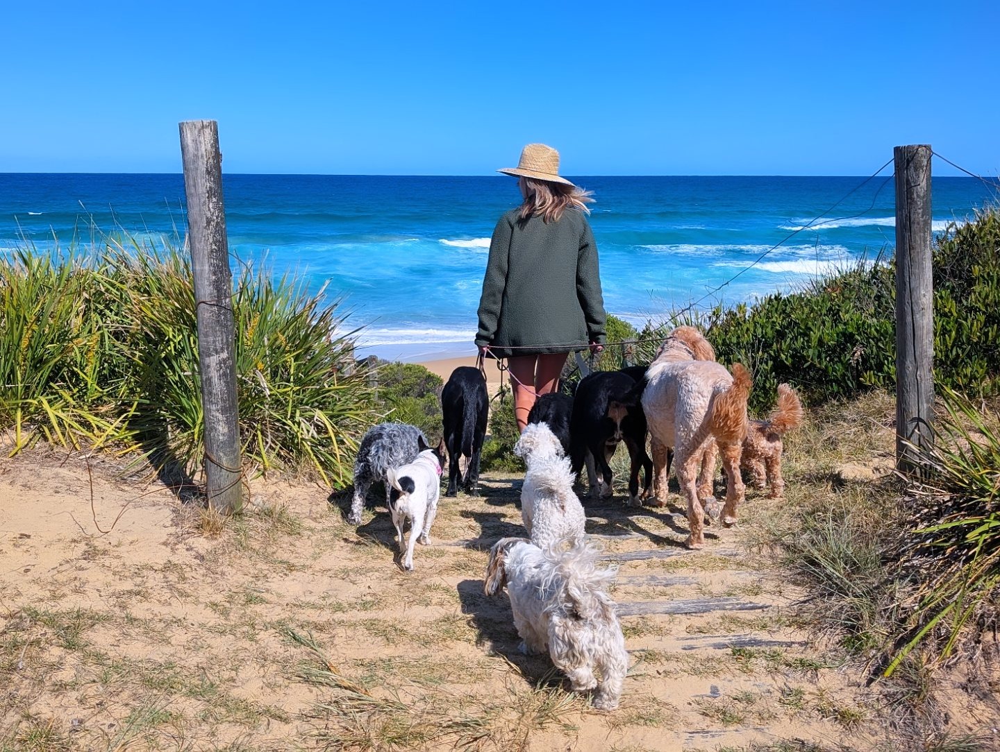 Help Lottie Keep the People & Puppers Rolling! campaign photo, 7 of 8