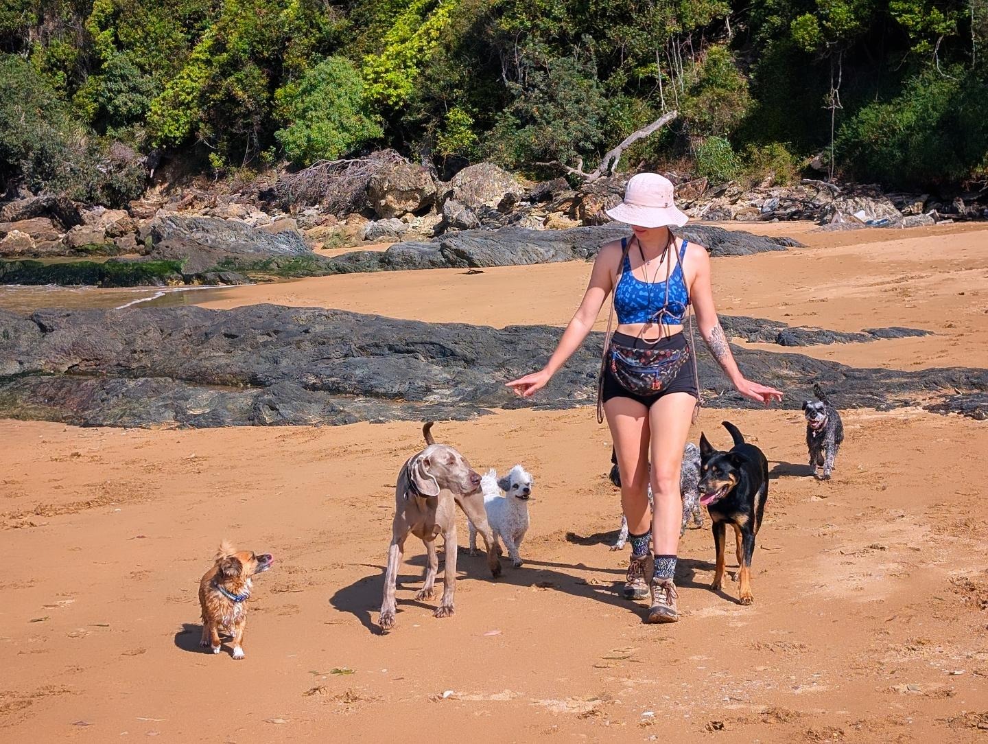 Help Lottie Keep the People & Puppers Rolling! campaign photo, 4 of 8