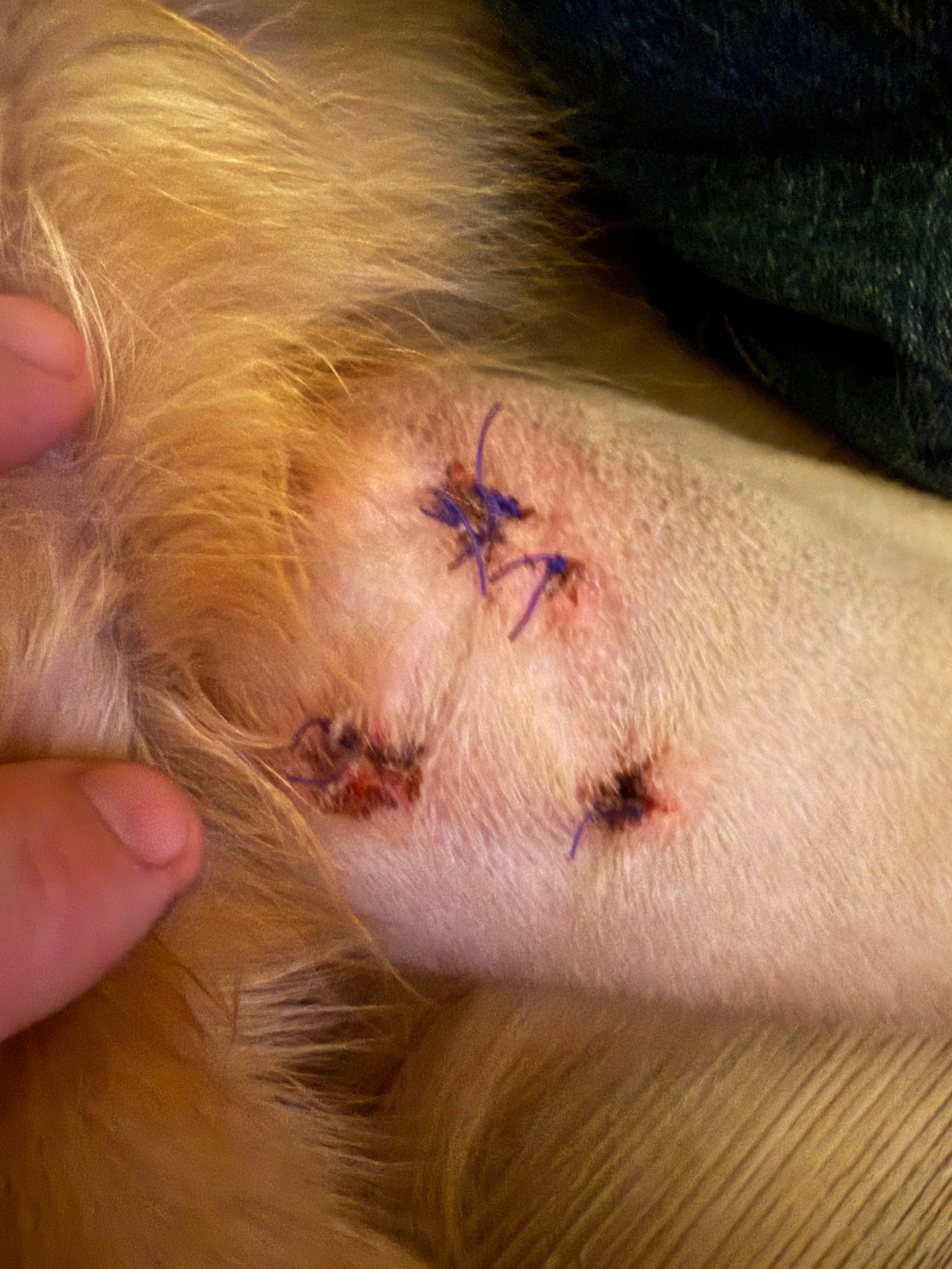 Help Save Our Baby Boy from Soft Tissue Sarcoma campaign photo, 6 of 8