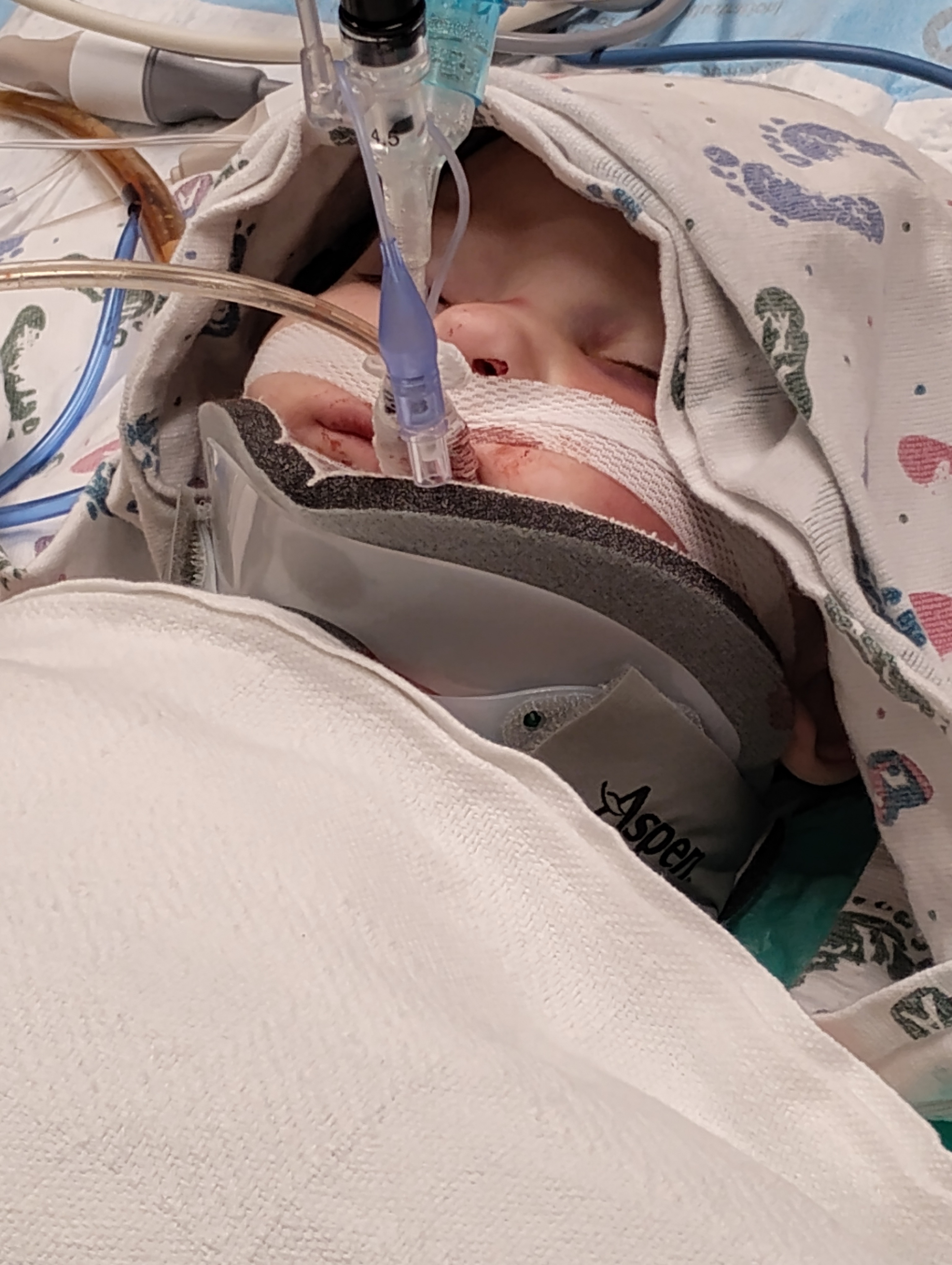 User-uploaded image 1