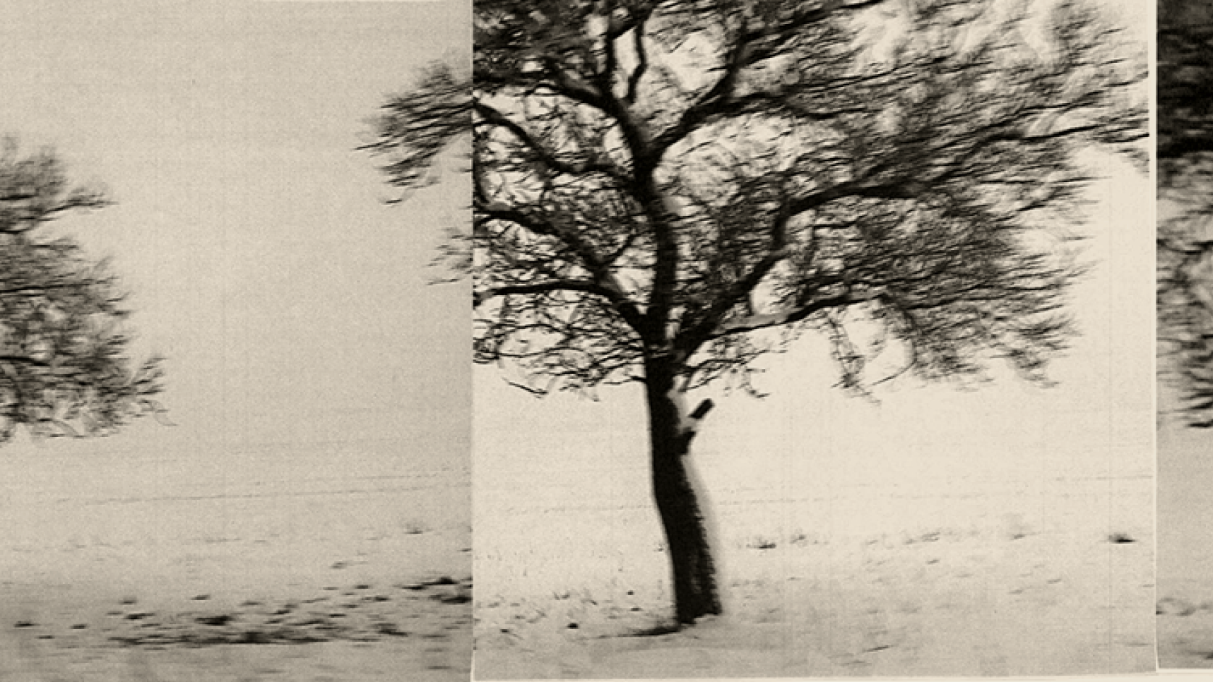 Help 7 Women Artists Share Their Stories in an Exhibition campaign photo, 6 of 8