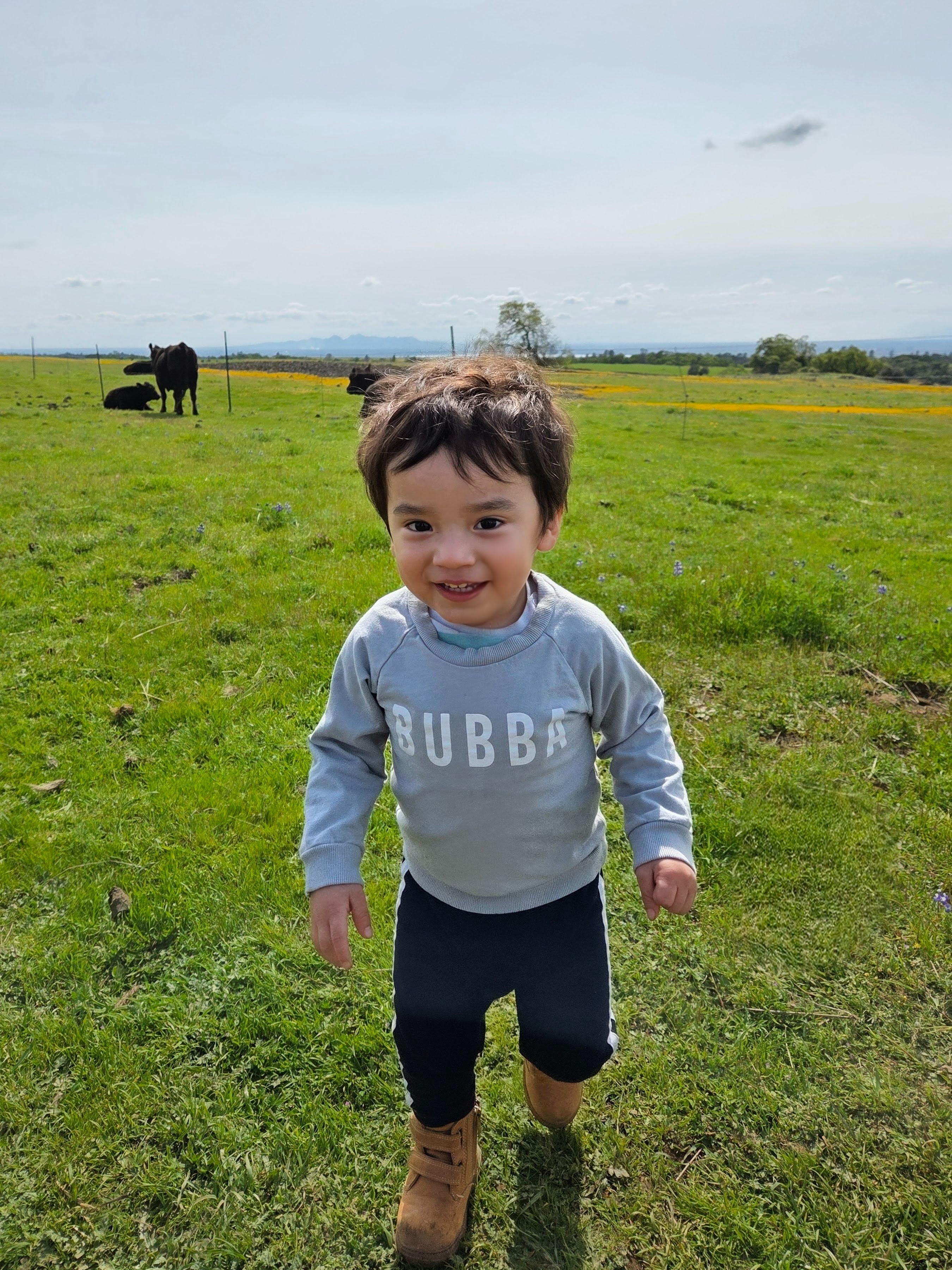 Help Us Say Goodbye to Our Little Angel campaign photo, 6 of 8