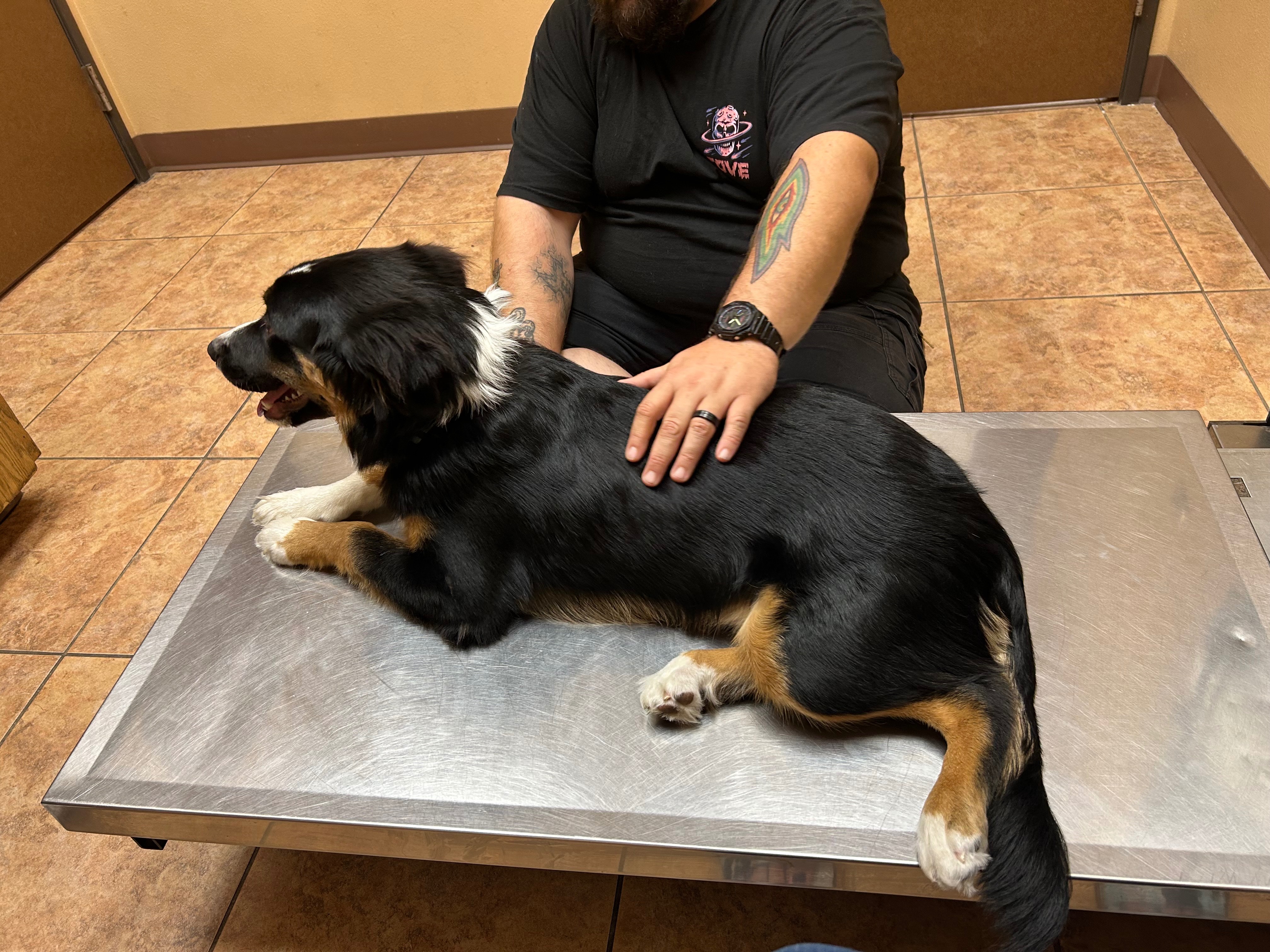Help Thunder Get Surgery to Walk campaign photo, 4 of 7