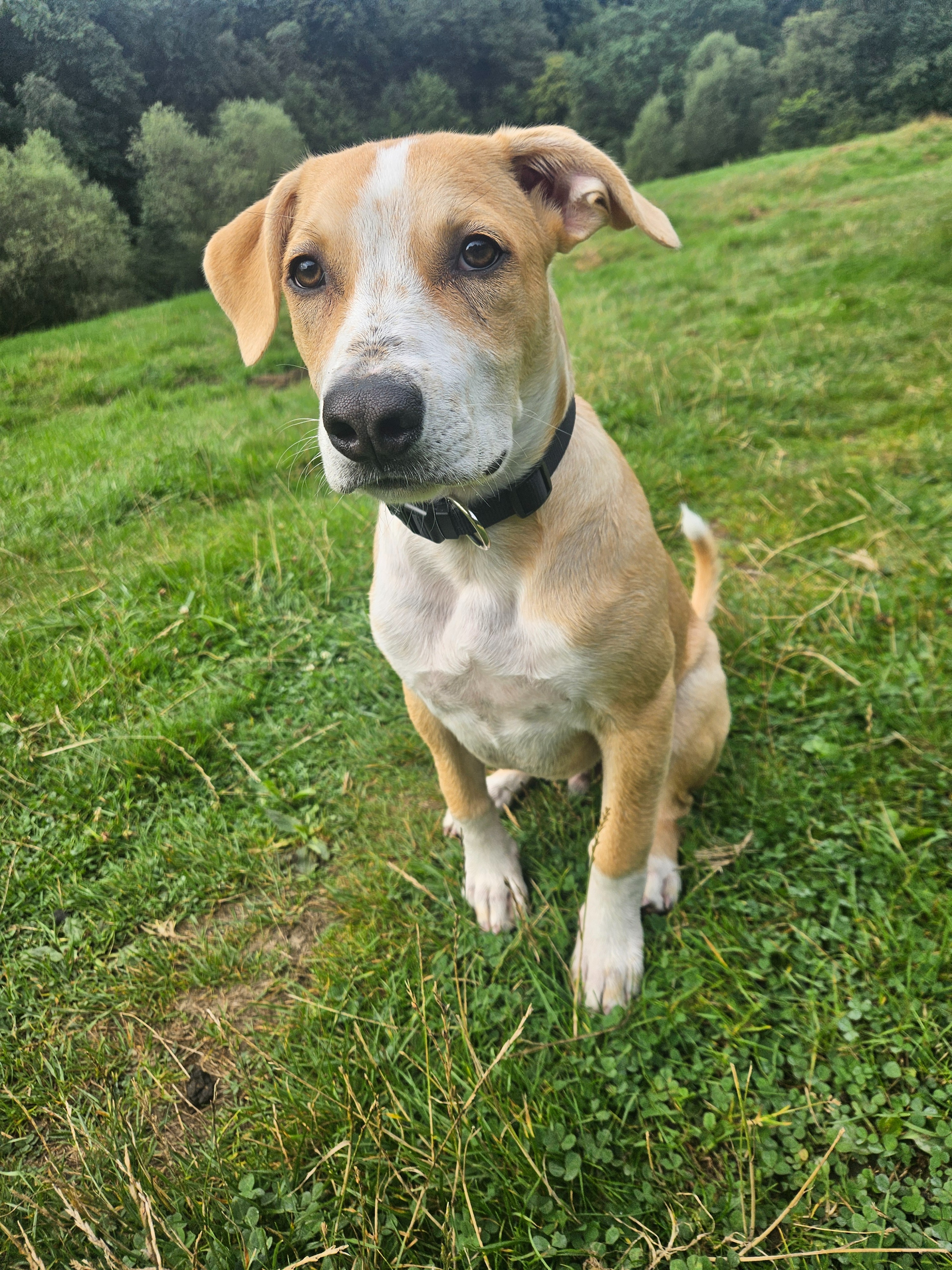 Hilfe für Pablo campaign photo, 5 of 6