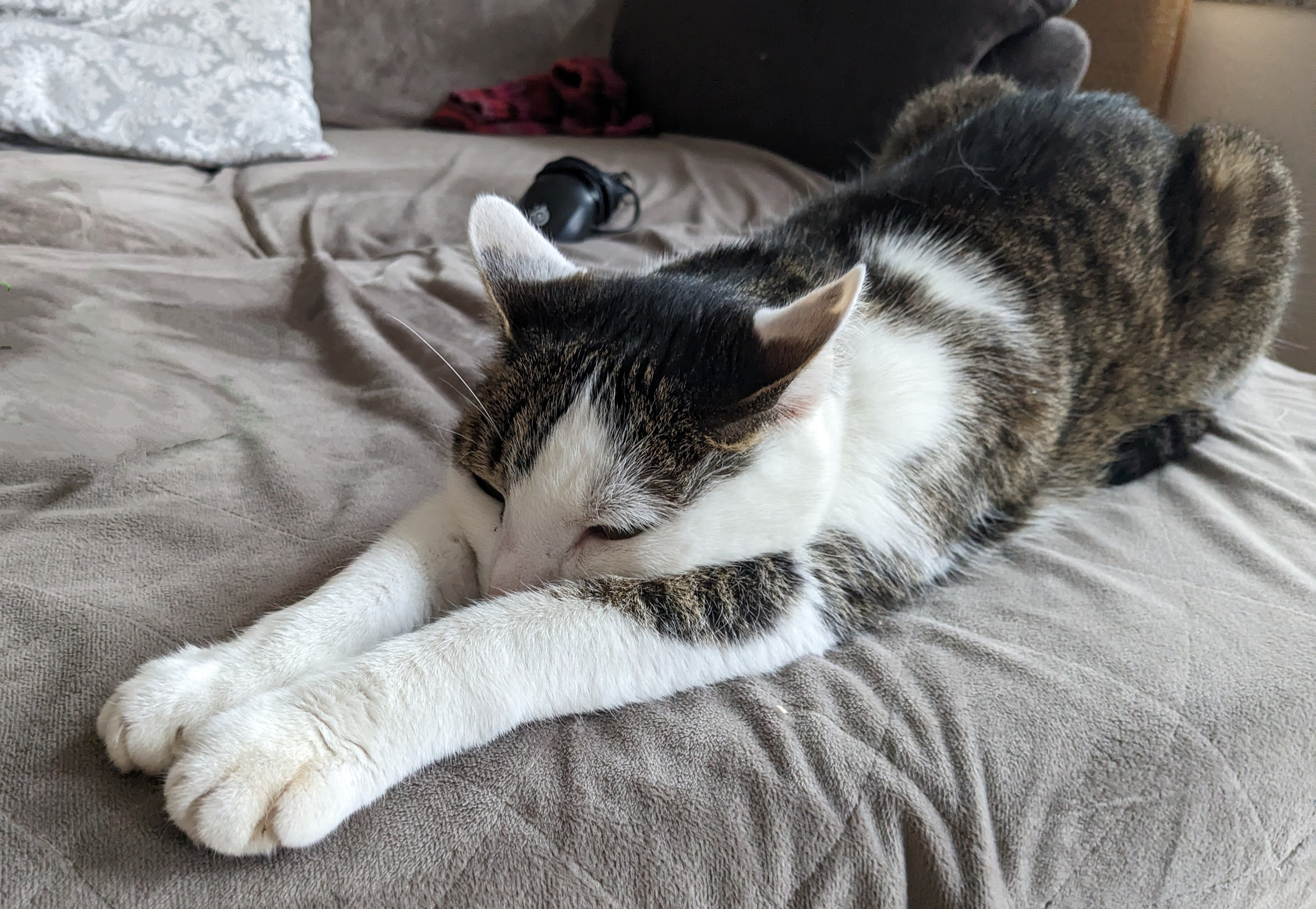 User-uploaded image 1