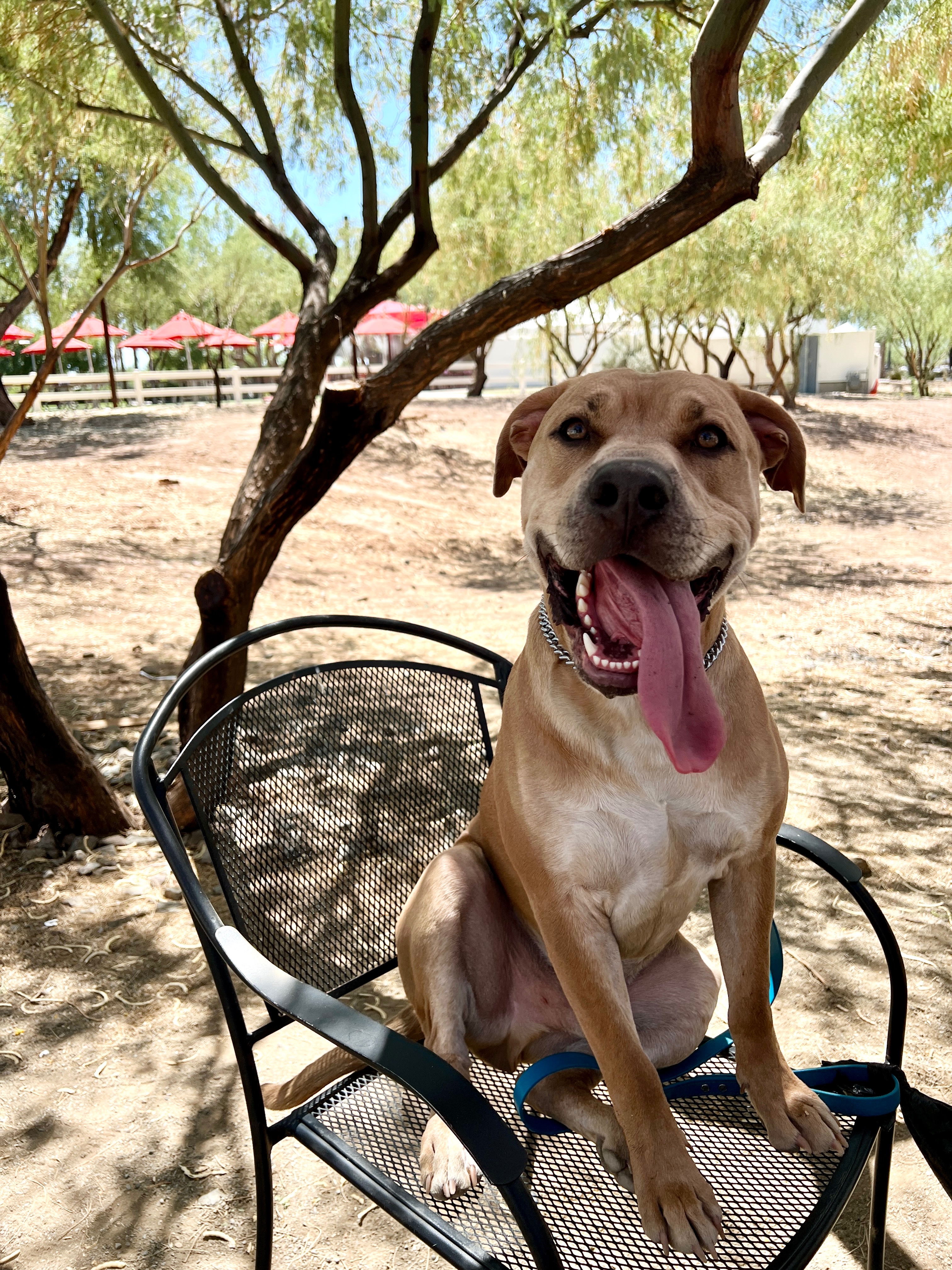 Bruce's Medical Journey Needs Your Help campaign photo, 7 of 8