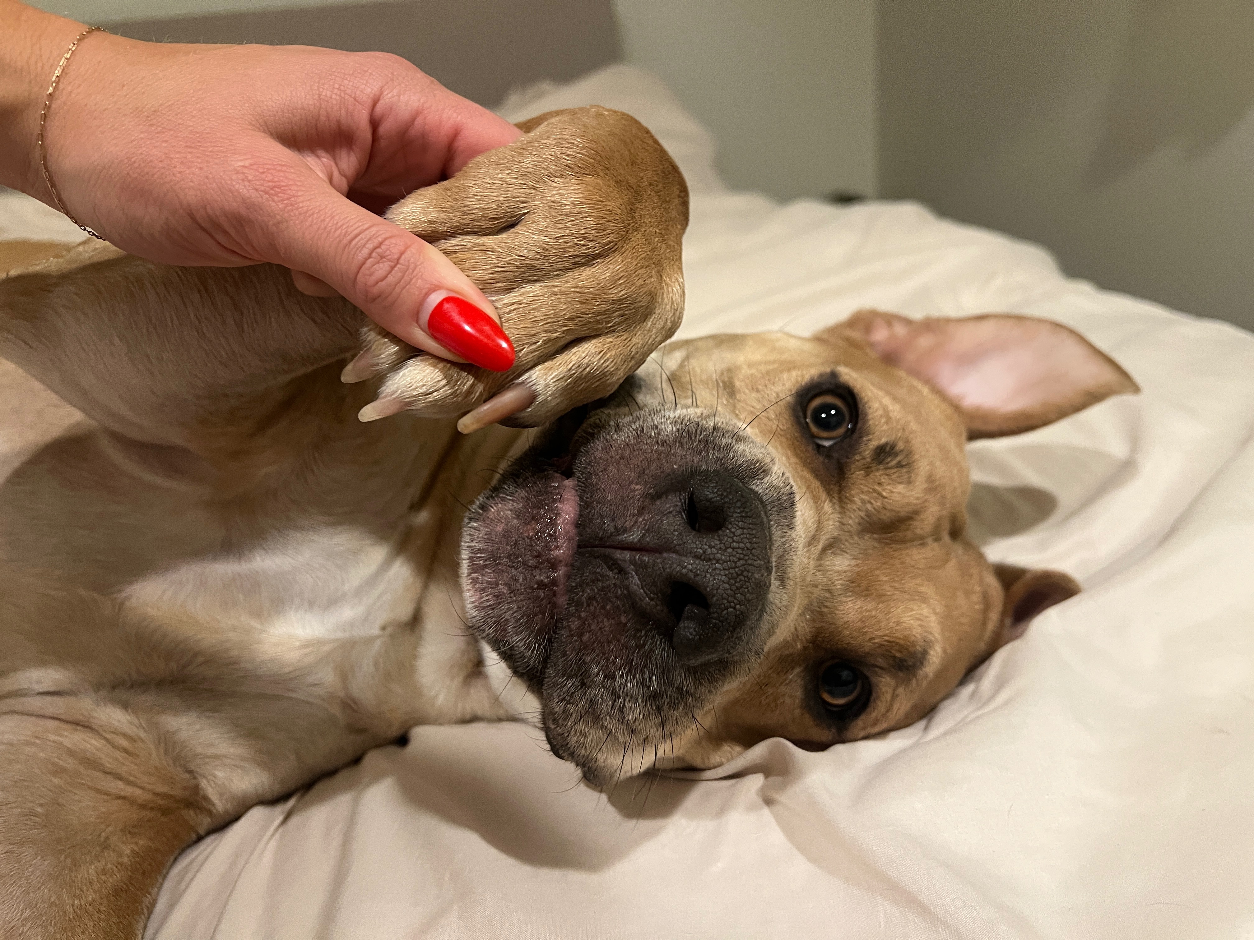 Bruce's Medical Journey Needs Your Help campaign photo, 4 of 8
