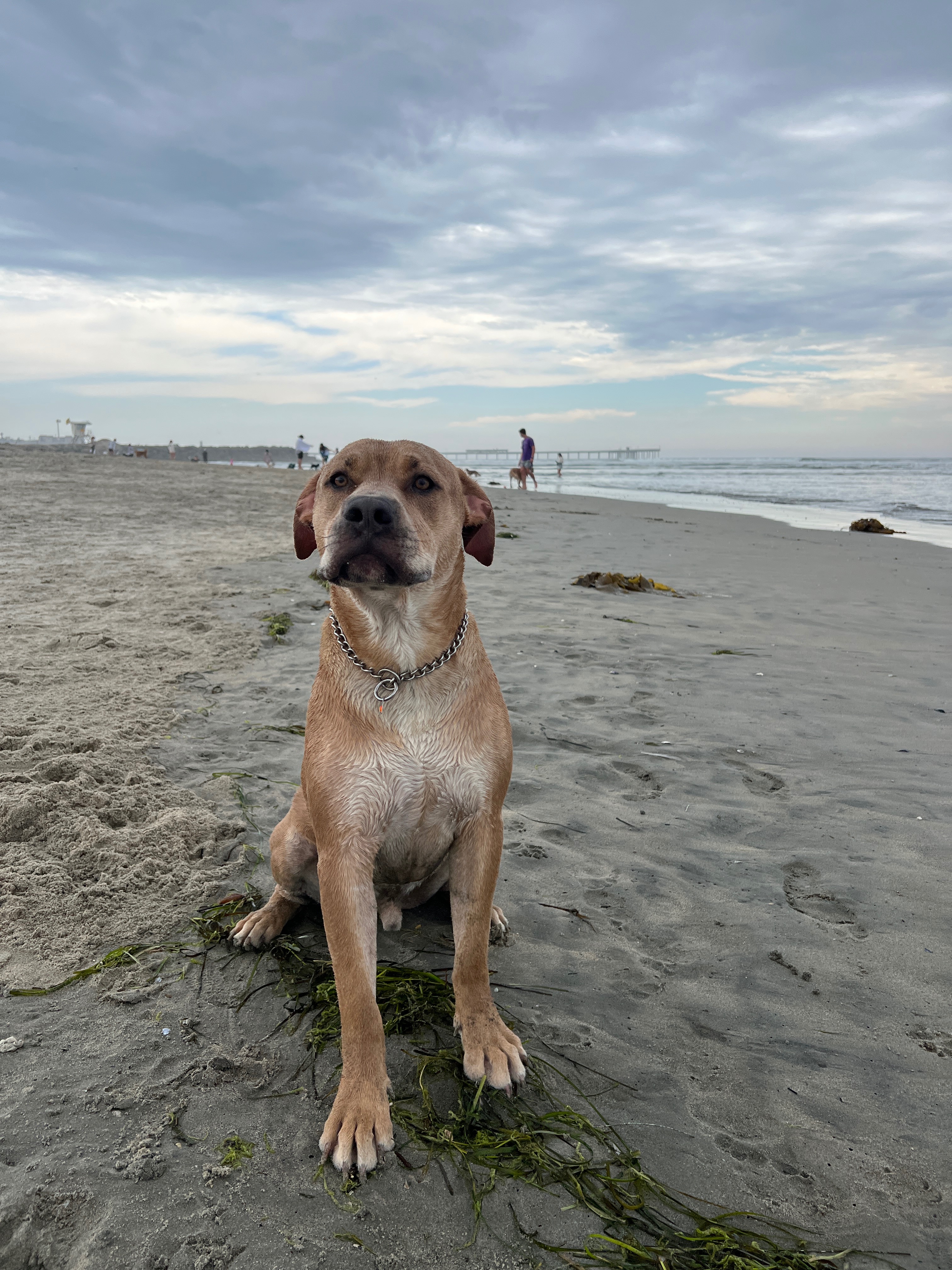 Bruce's Medical Journey Needs Your Help campaign photo, 2 of 8