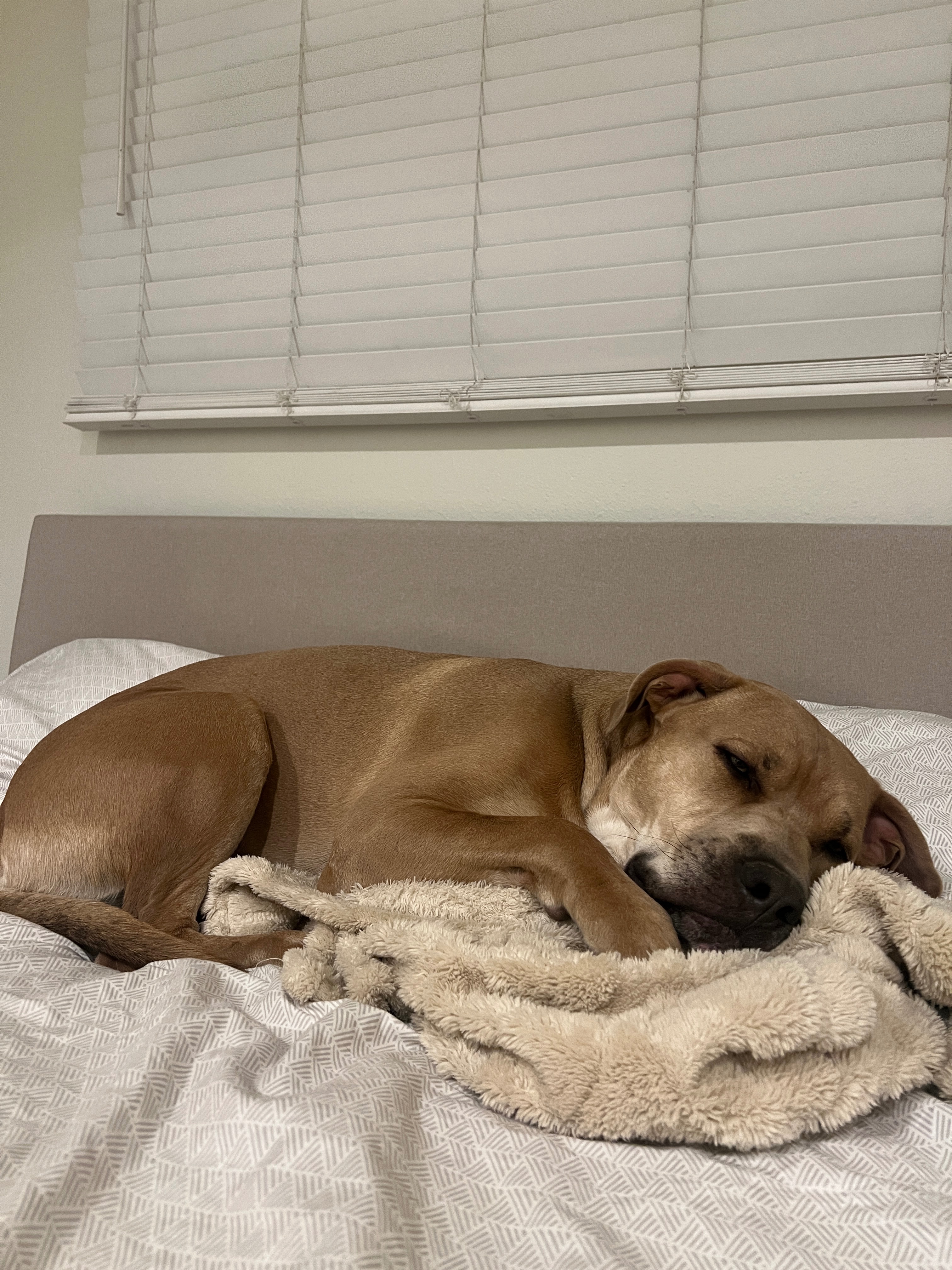 Bruce's Medical Journey Needs Your Help campaign photo, 5 of 8