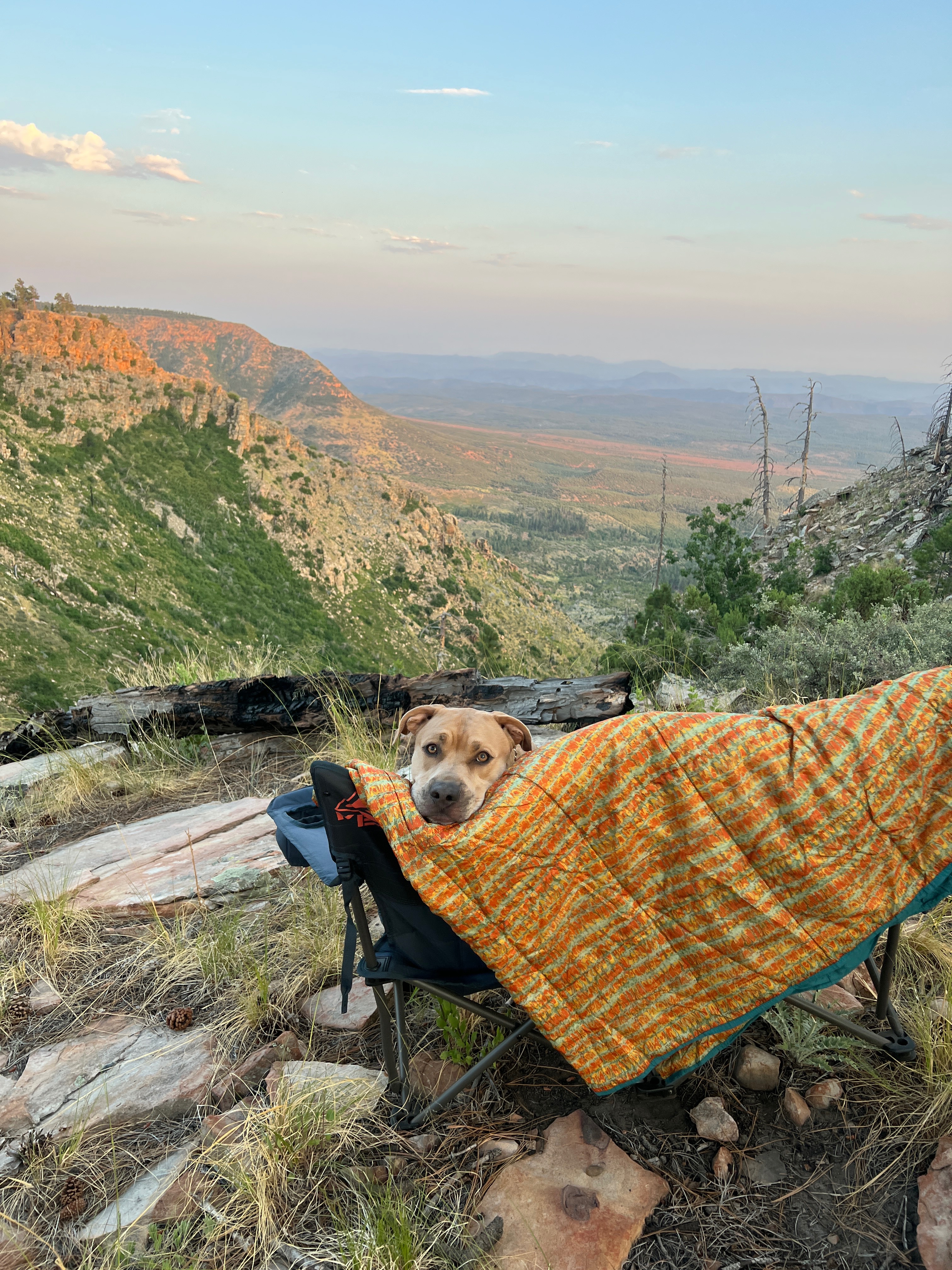 Bruce's Medical Journey Needs Your Help campaign photo, 6 of 8