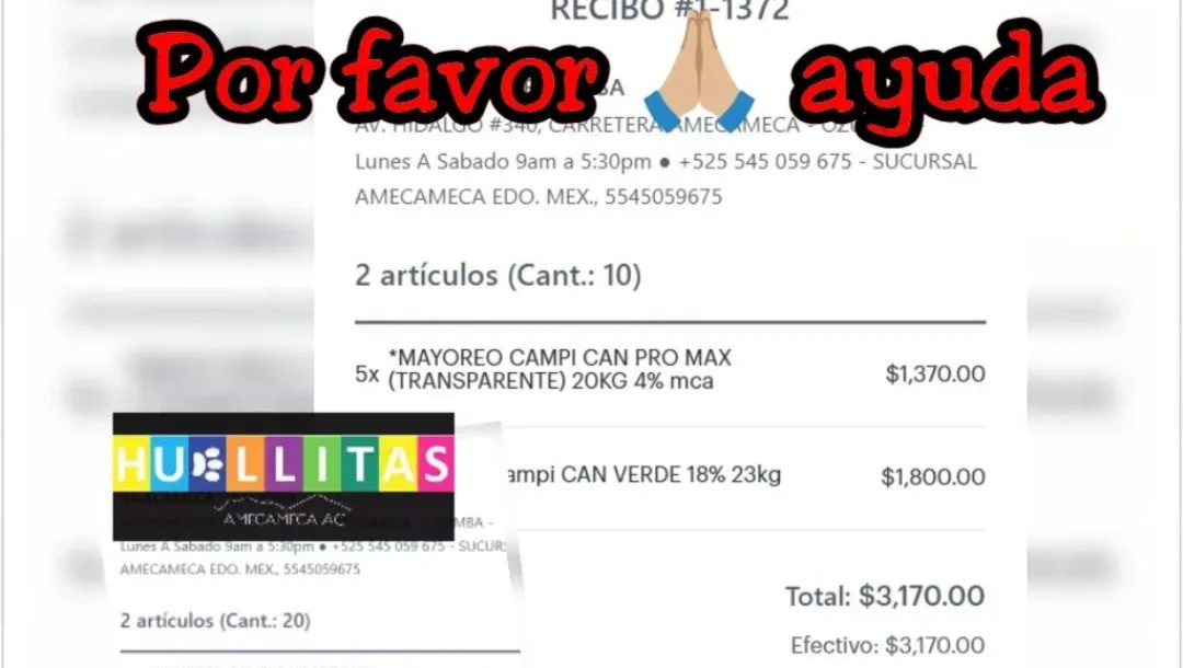 Huellitas Amecameca A.C photo