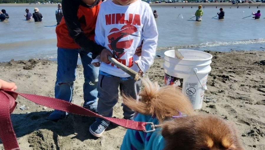 Support loss of family dog & childhood home photo