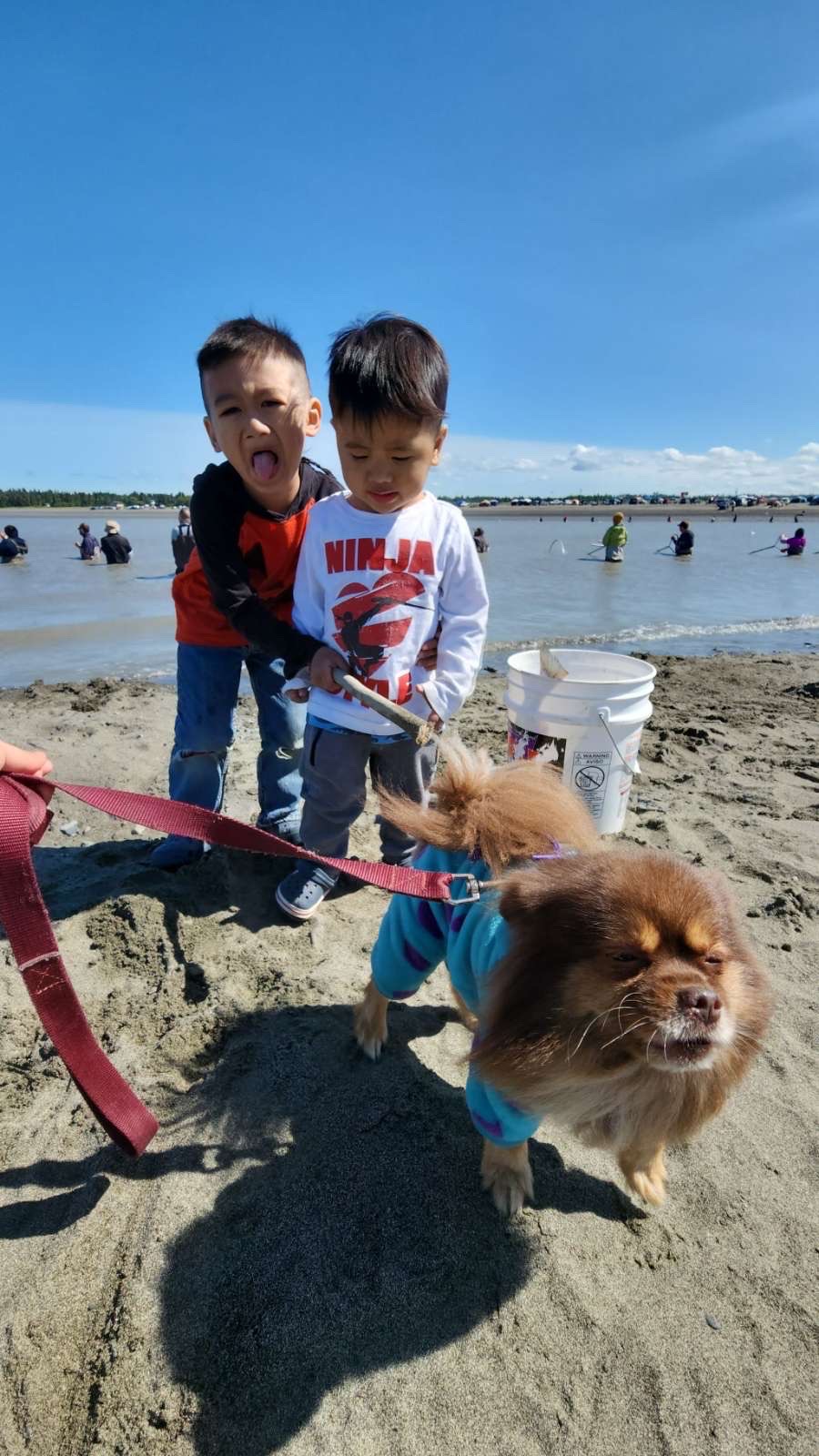 Support loss of family dog & childhood home campaign photo, 6 of 7