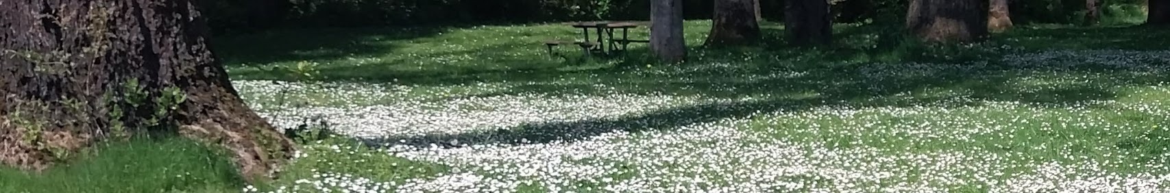 User-uploaded image 1