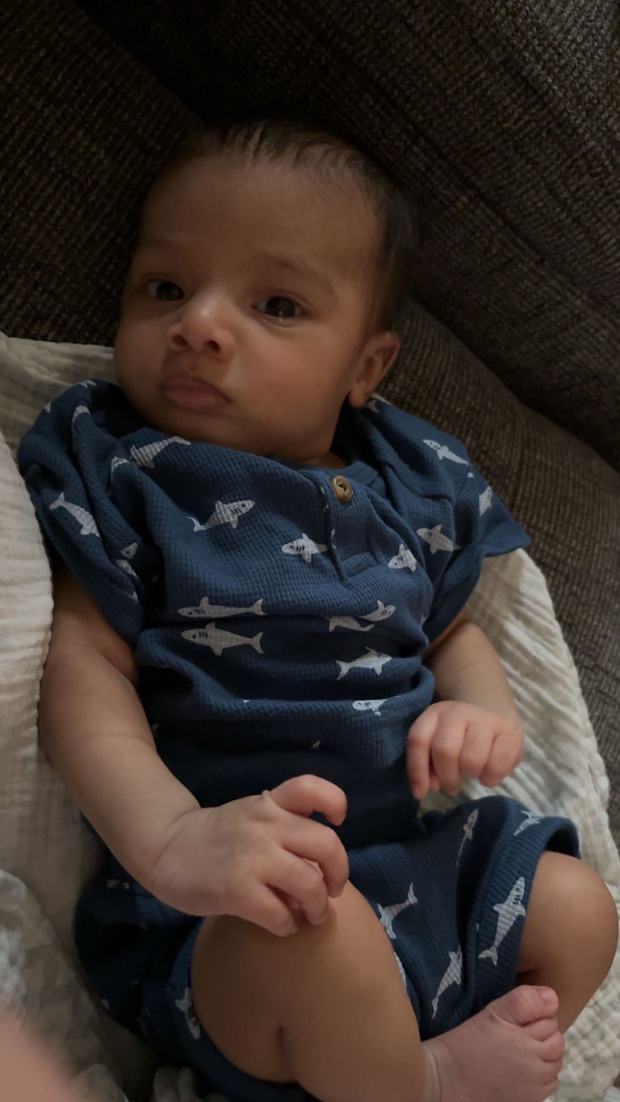 Honoring Baby Kaizen: Support Our Farewell campaign photo, 7 of 8